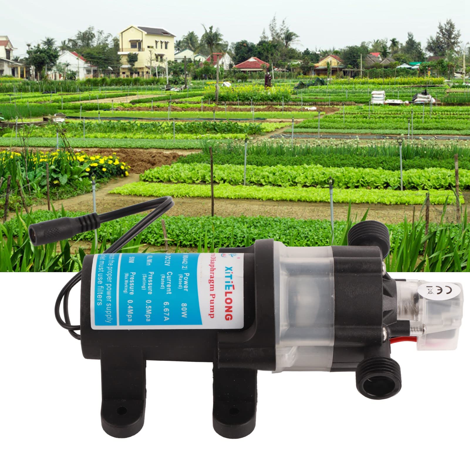 Pompa acqua autoadescante Pompa a membrana a pressione acqua 12V con filtro staccabile per applicazioni agricole con tubi giardino