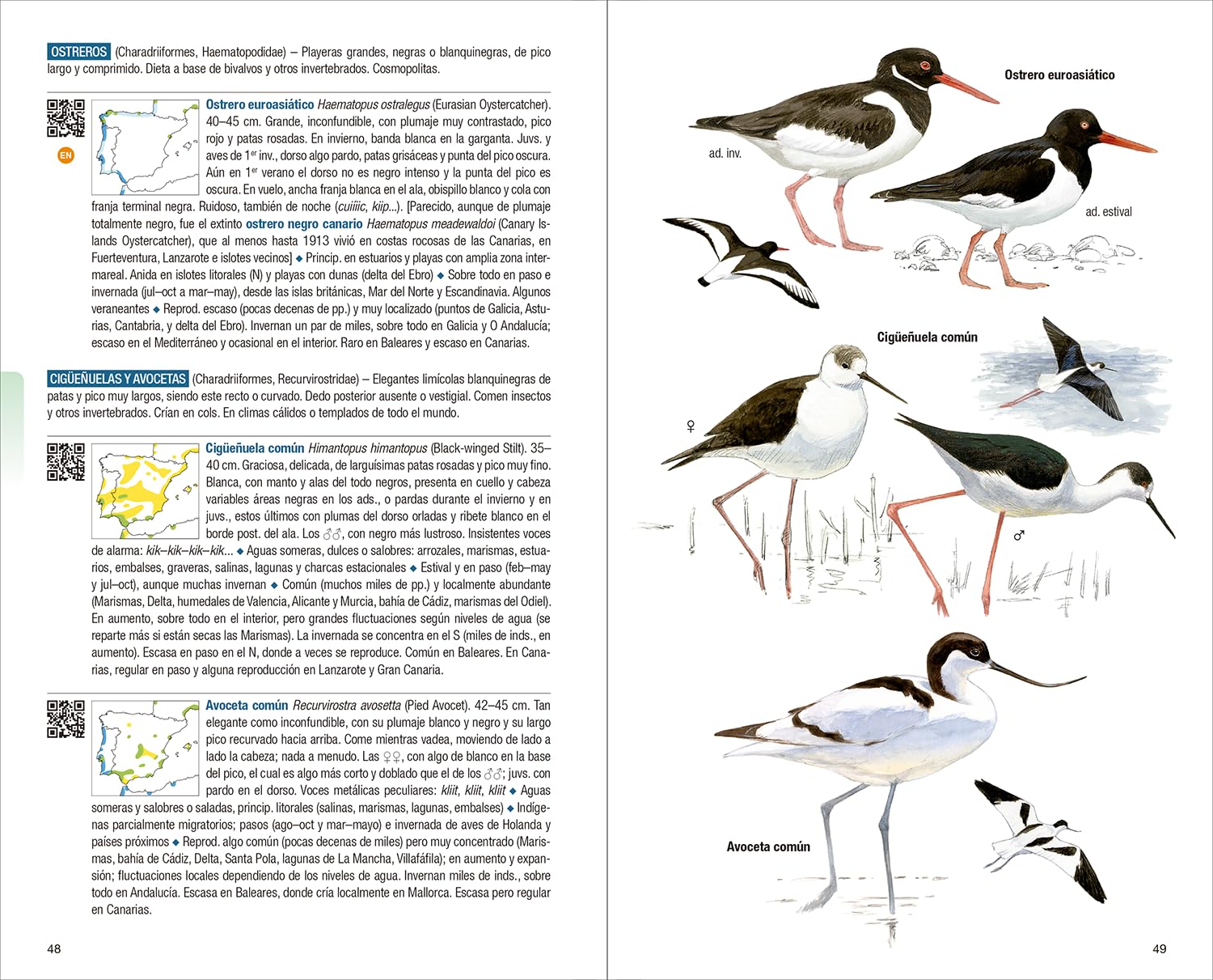 Aves de España - 4ª edición (Guías de campo)