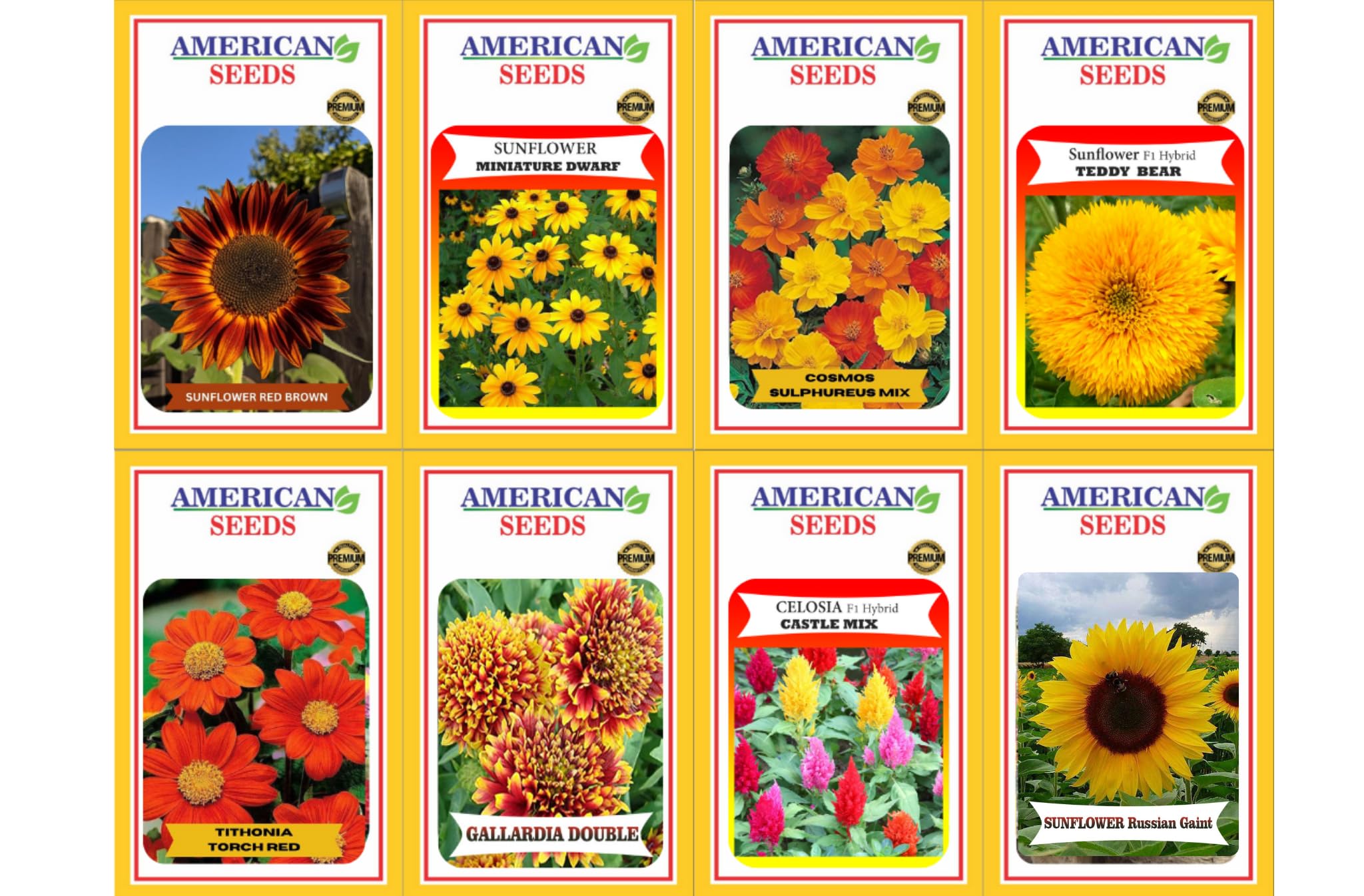 HYBRID Summer Flower seeds combo (PACK OF 8, 500+ seeds) for Home Garden, Flower Seeds for terrace garden, (B0CNNMKHYG) Amazon Price History, Amazon Price Tracker