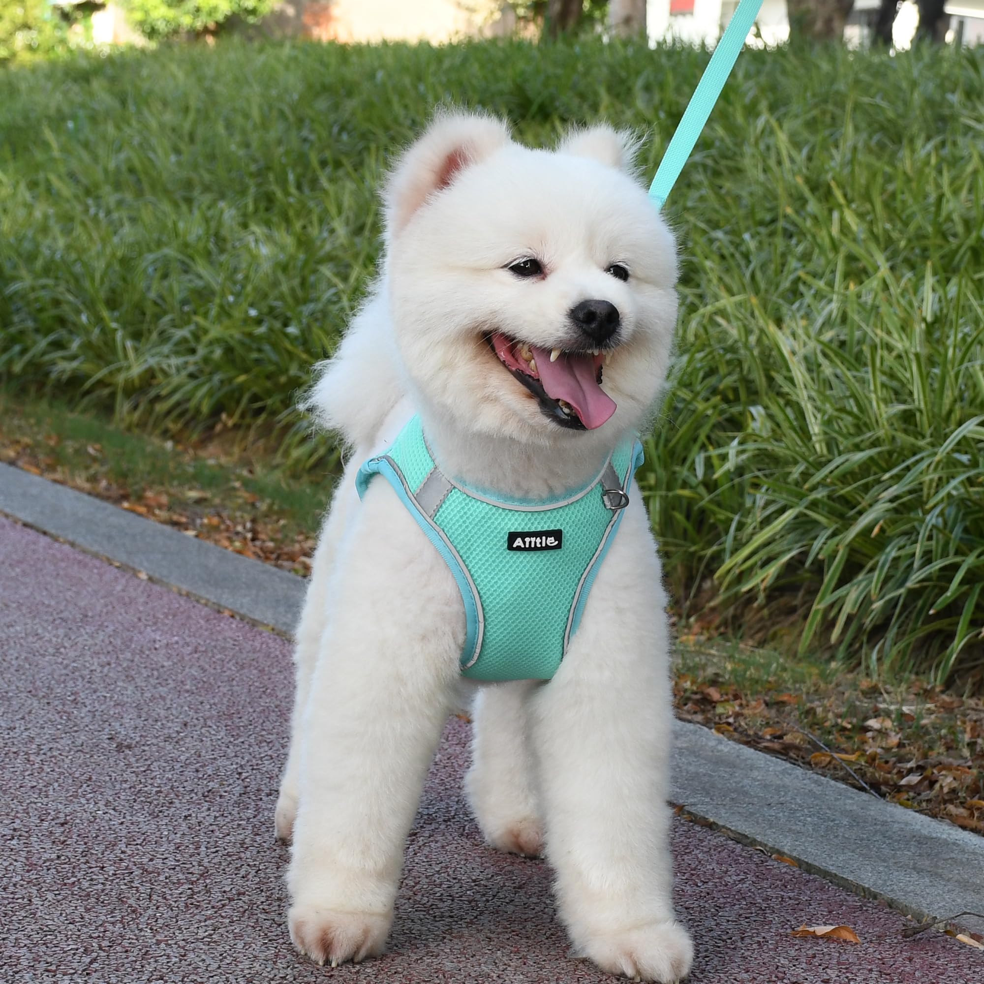 AIITLE Dog Harness And Leash Set - Step-in Escape-Proof Vest For Small Dogs & Cats, Reflective, Turquoise-Pink XXXS
