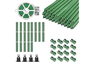 BOTINDO 4ft 5ft 6ft 7ft Tomato Supports and Stakes