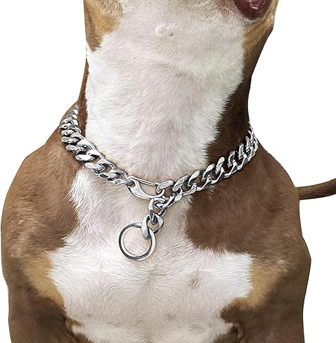 Broches de langosta ajustables y fuertes para perro, collar de titanio, entrenamiento de metal para perros, a prueba de mordidas para perros Broches de langosta ajustables y fuertes para perro, collar de titanio, entrenamiento de metal para perros, a prueba de mordidas para perros