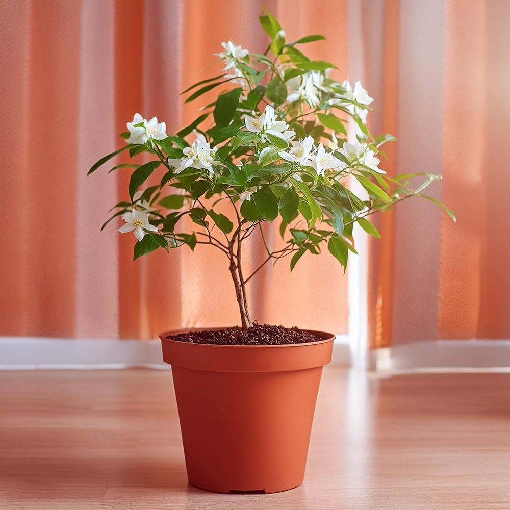 81nik7WDByL._AC_UF1000,