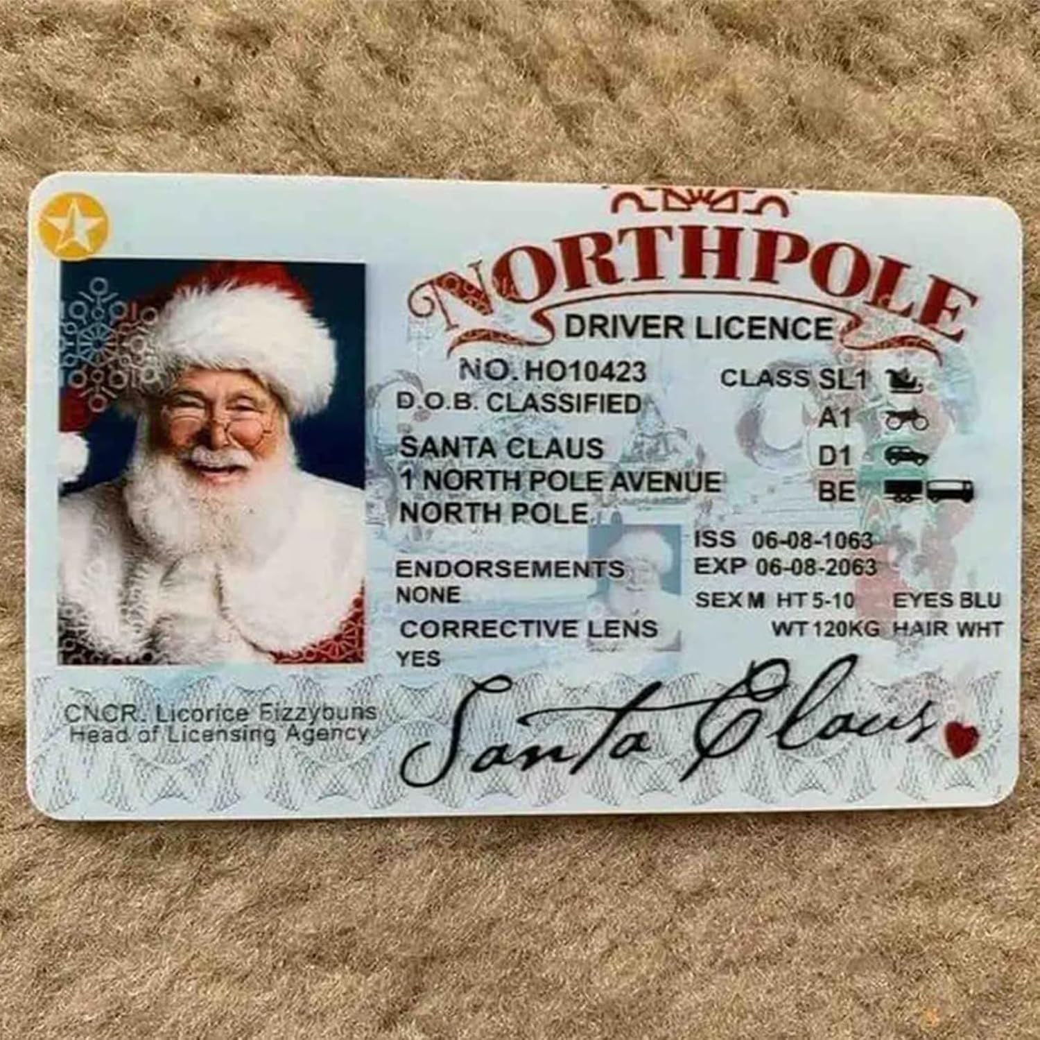 Santa's Lost Driving Licence, Christmas Eve Key Box Gift - Xmas Tree Ornament & License Plate (Color #A, 3 Pack)