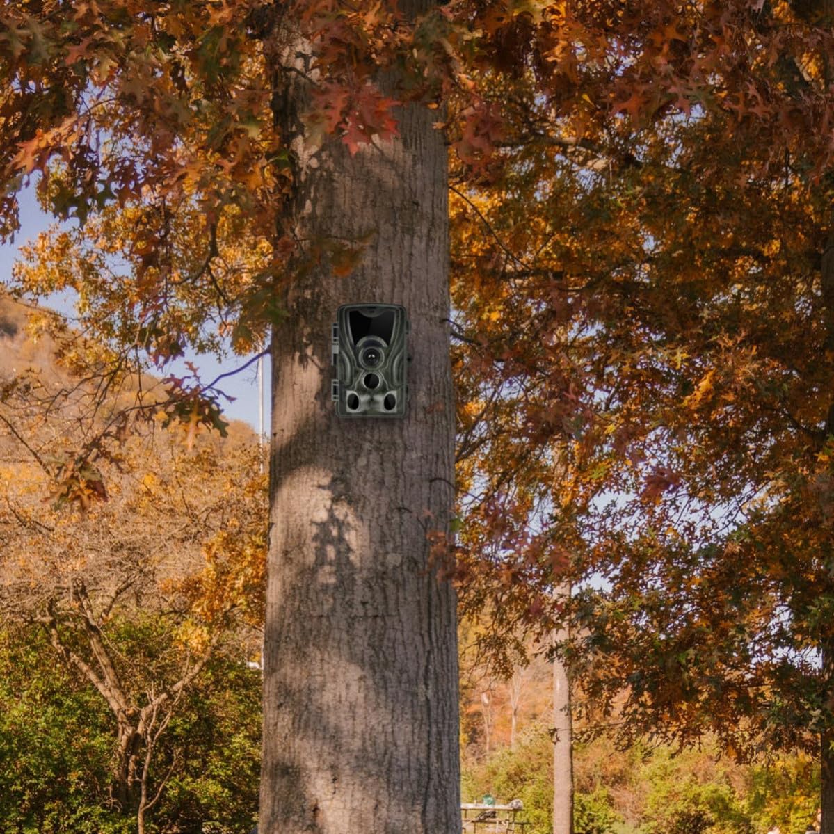 Beavorty Cámara de Caza Cámara de Seguimiento de Fauna Nocturna 1080p para Exteriores con Sensor Infrarrojo Resistente al Agua para Fotografía Automática