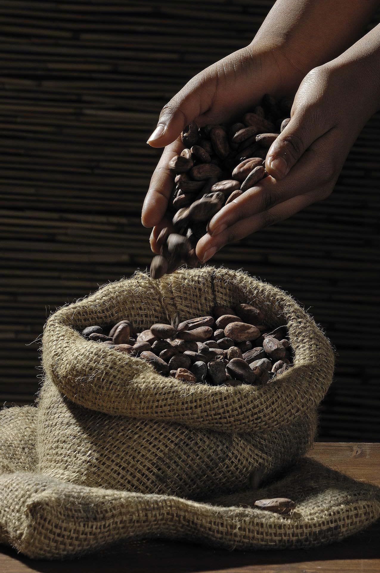 Meybona Urspungs-Schokolade Zartbitter | Peru | 72% Kakao | 10x100g | Schokoladentafel, ausgewählte Edelkakaobohnen, 72% Kakao, Bean-to-Bar, Single Origin Edel-Schokoladen