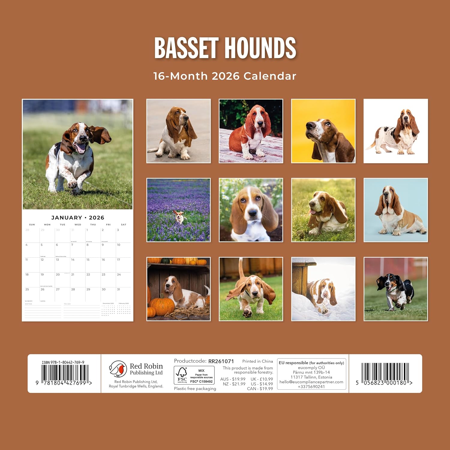 Red Robin 2026 Basset Hounds Monthly Wall Calendar | 12" x 24" Open | Premium Thick & Sturdy Paper | Hangable 12 Month Calendar | Lined Notes & To Do Area | Vivid Images | Plastic Free - Image 2