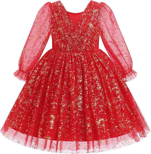 Toddler Kids Girls Spring Fall Long Puff Sleeve Floral Embroidery Ruffle Tulle T