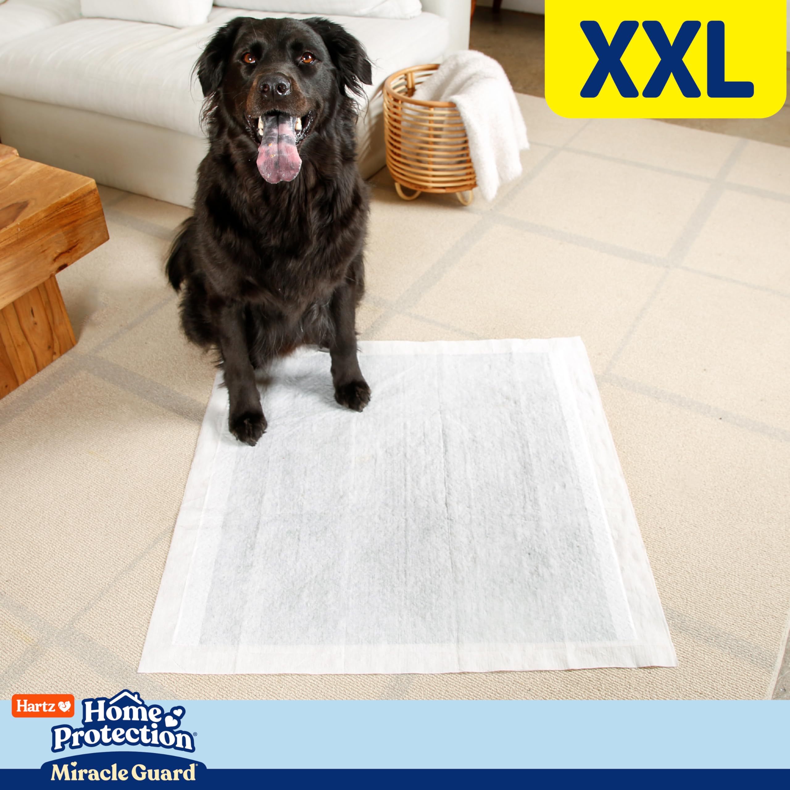 Hartz Home Protection Miracle Guard - Almohadillas para Perros, XXL, 20 Unidades, 3 Veces más absorción y 3 Veces más de Uso, no gotean ni eliminan olores