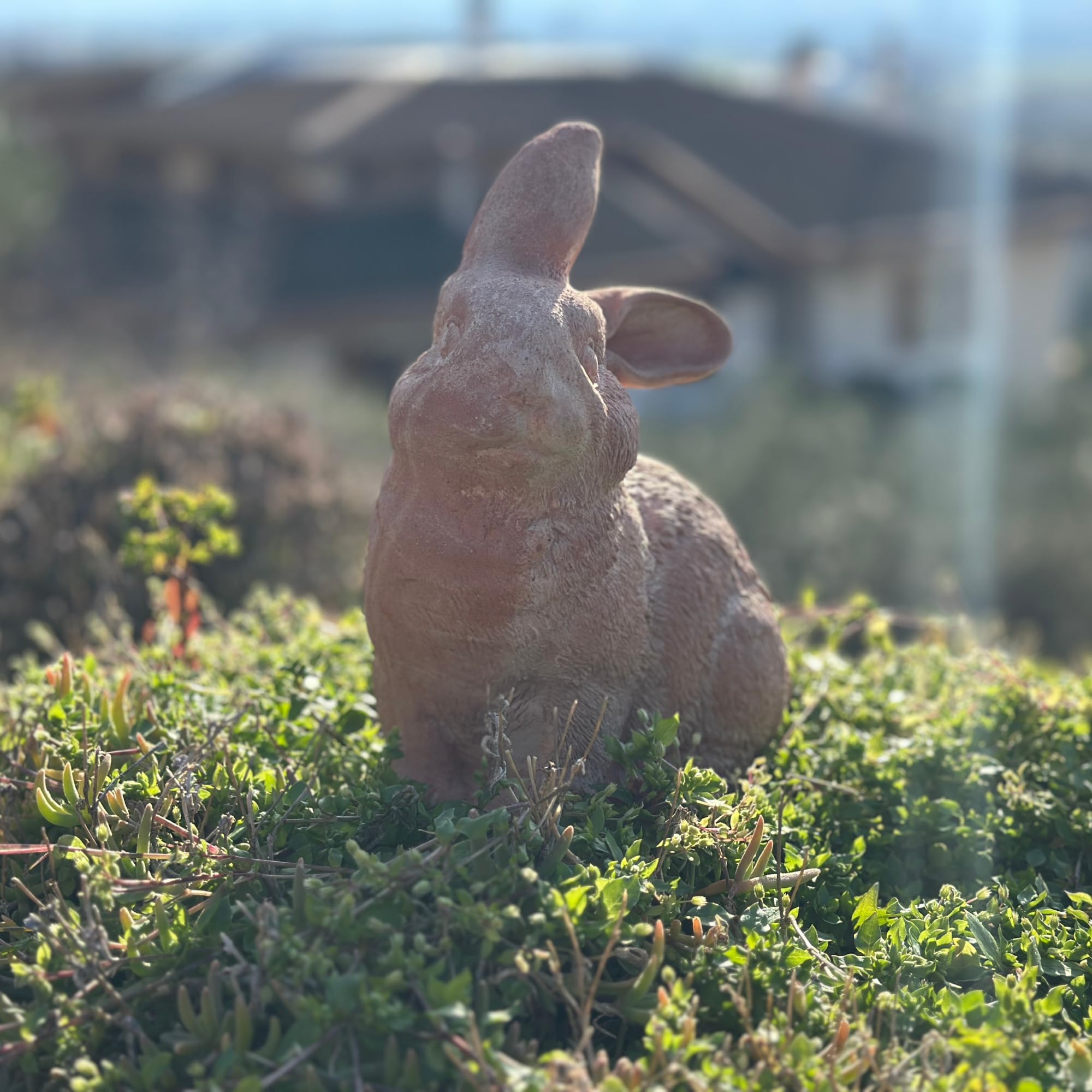 Toocook Animali in terracotta artigianale - Arredo giardino - Decorazione casa - Resistente alle intemperie (Coniglio)