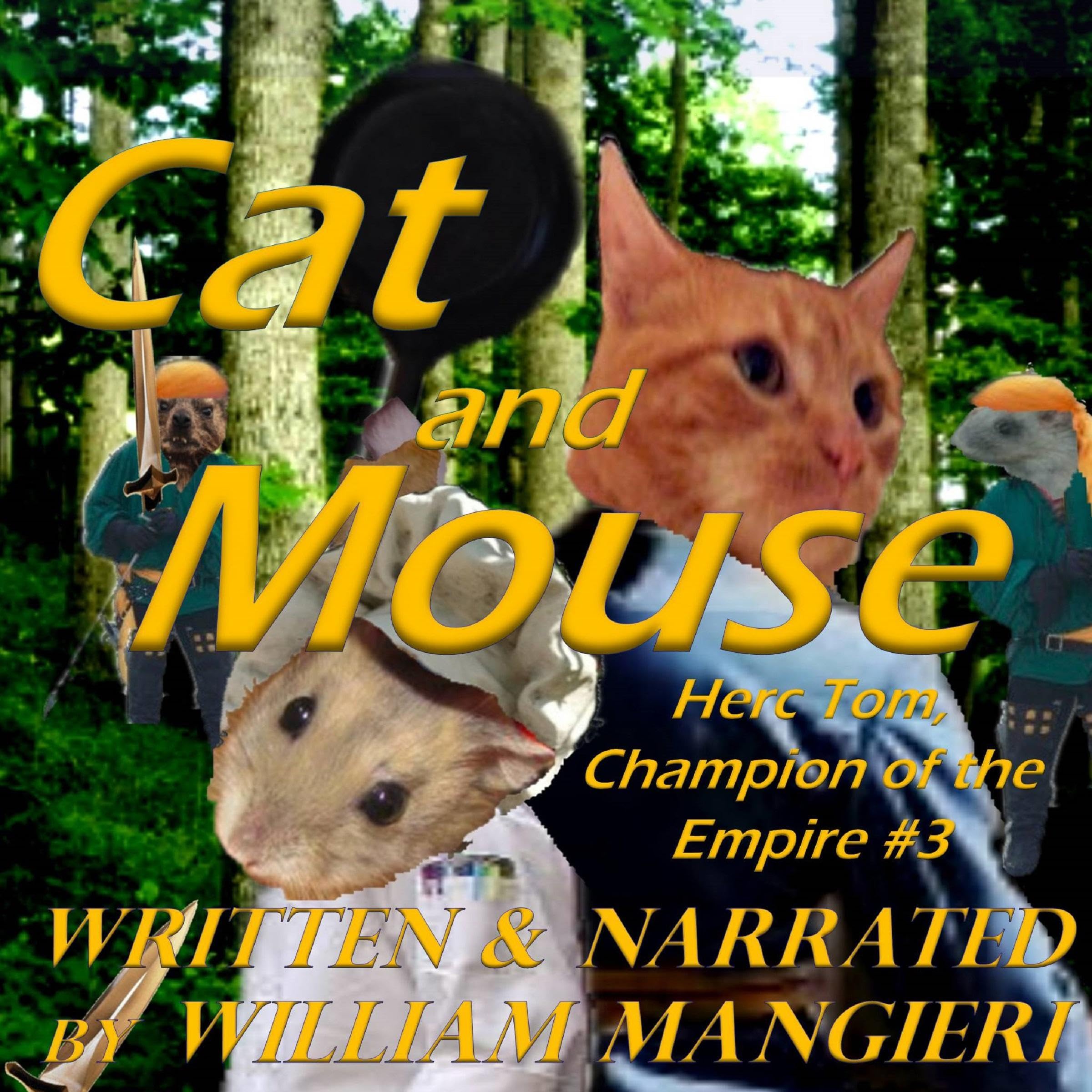 Cover art for Cat and Mouse