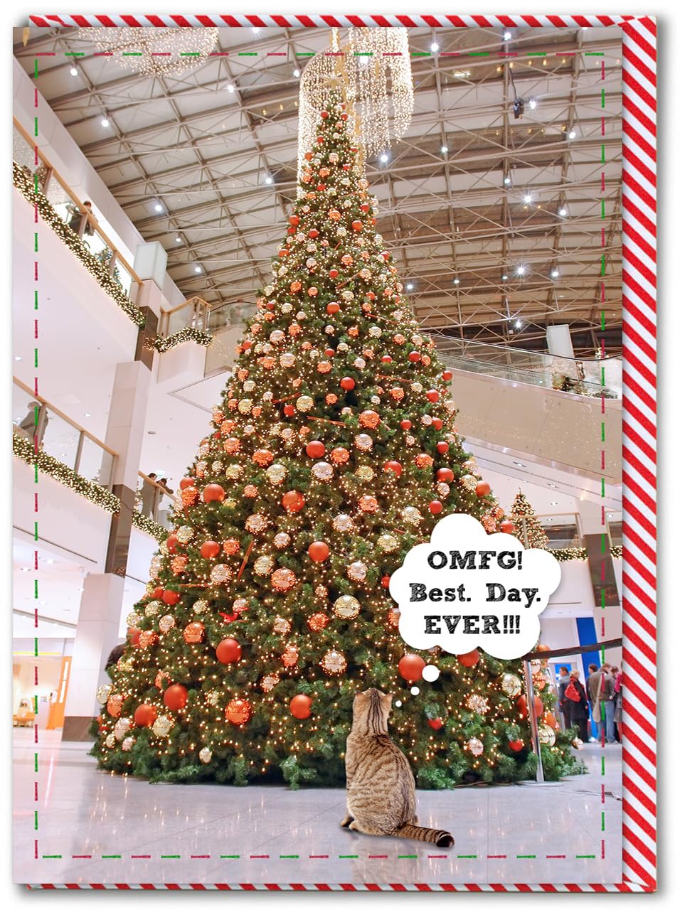 Felbridge Studio,Cartes De Noël Avec Chat – Carte De Noël