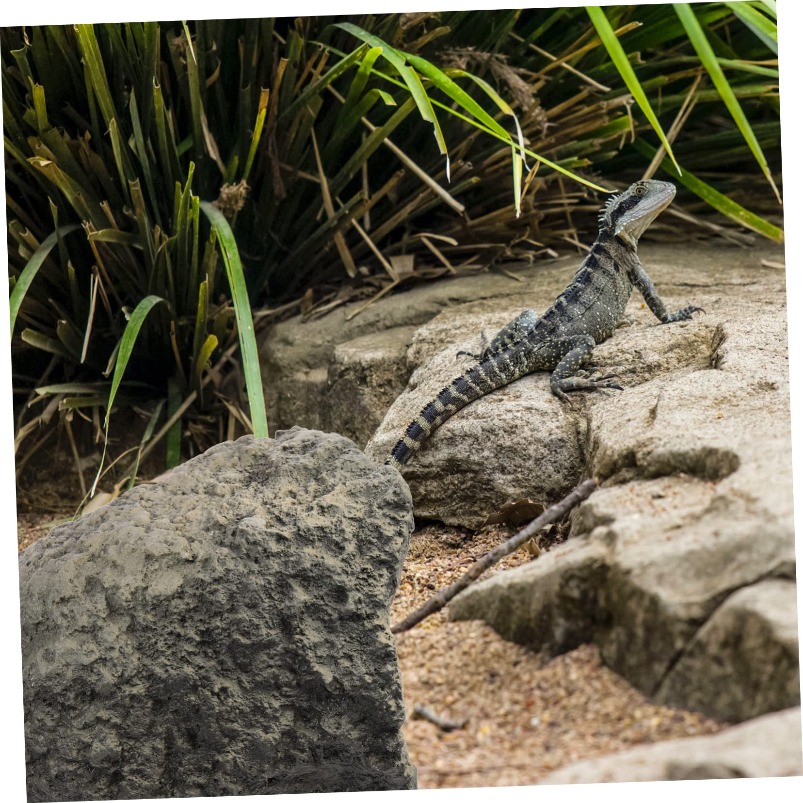 Refugio de Resina para Reptiles, Decoración de Cueva de Terrario | Ligero y Fácil de Transportar, para Reptiles y Tortugas, Accesorio de Hábitat para Terrarios