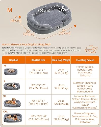 Miniatura 6 de Feandrea Cama para perro, sofá cama ortopédica mediana para perro, 30 x 20 x 7 pulgadas, espuma de jaula de huevos, forro impermeable, bordes