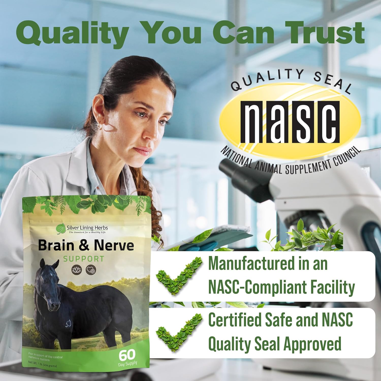 Silver Lining Herbs Brain & Nerve Support Supplement for Horses - Horse Supplements for Focus, Mental Health & Brain Support - Contains Herbal Blend of Ginkgo, Gotu Kola, & More - 1 lb 60-Day Supply