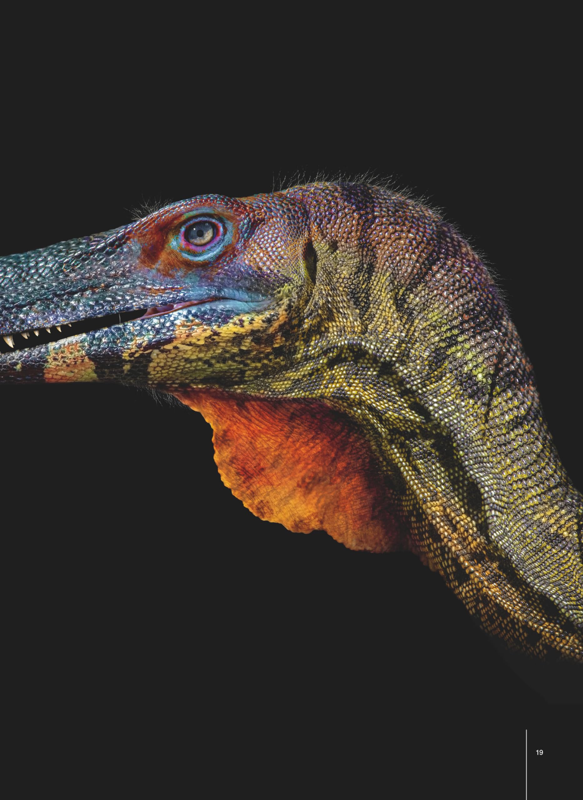 Le Grand Atlas des Dinosaures