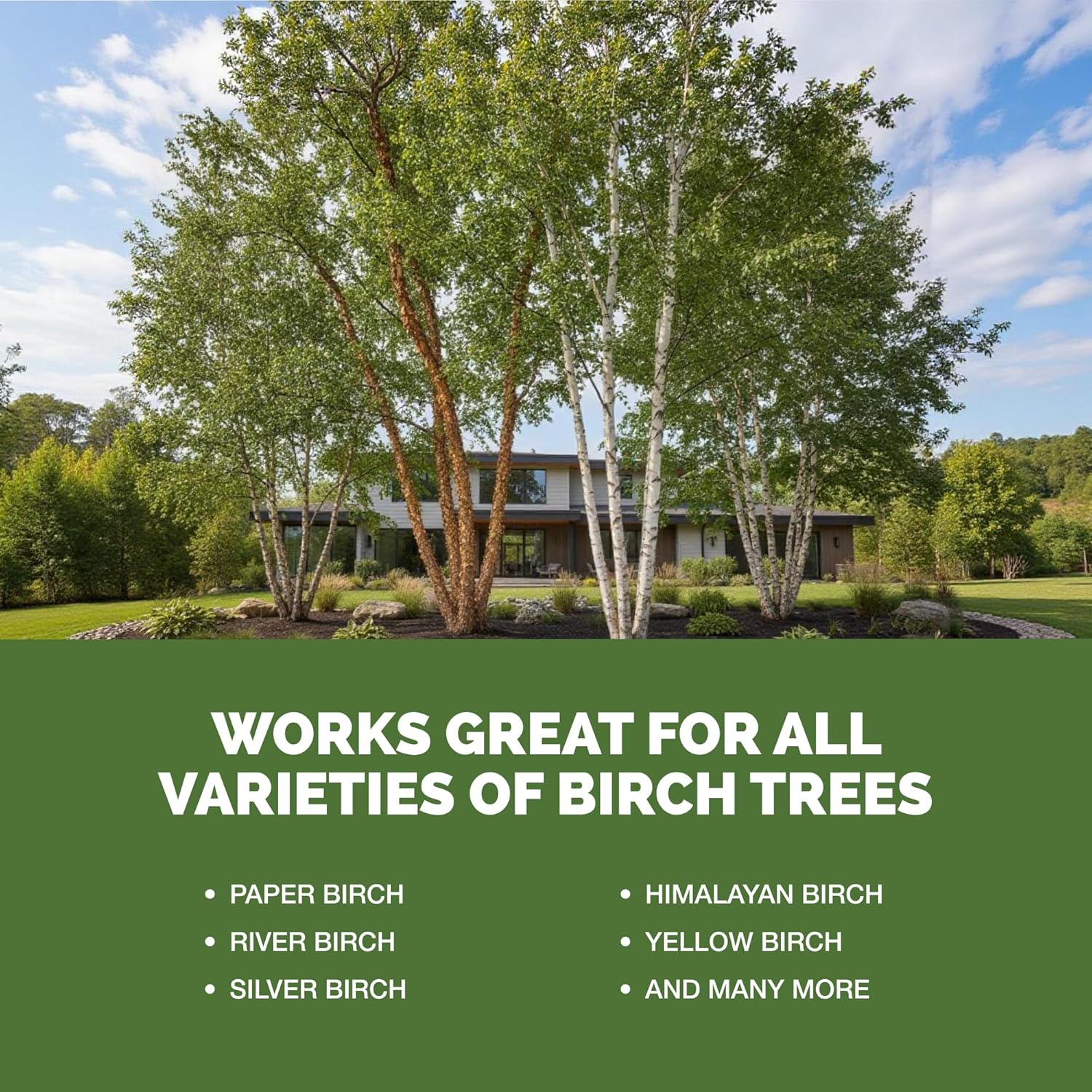 Birch Tree Fertilizer – Liquid Plant Food for Healthy Leaves, Strong Roots & Vibrant Growth, 32 oz