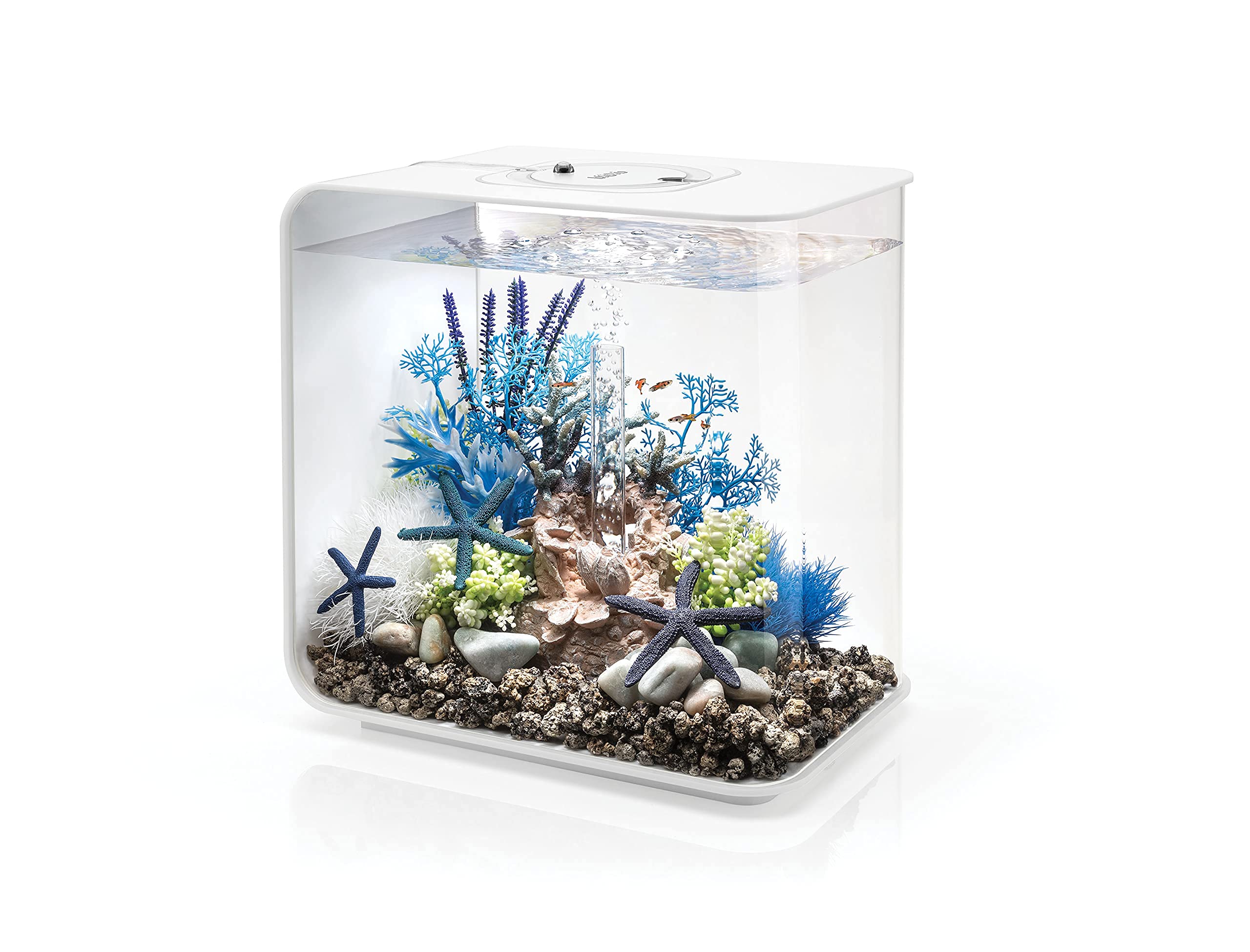 biOrb Flow 30 Aquarium en Acrylique Blanc, télécommande MCR Multicolore, élégant Aquarium de 30 litres avec Filtration en 5 étapes, Installation Facile, Comprend télécommande, Pompe à air, Cartouche