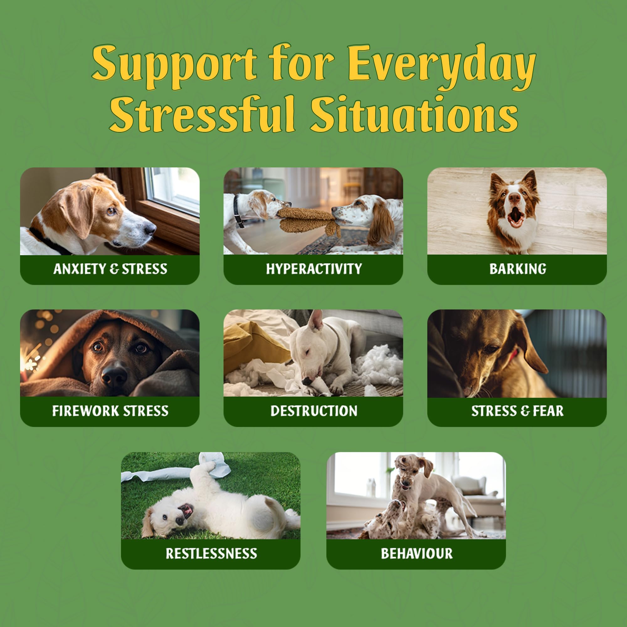 Animal Active Herbal Hush Calming Tablets for Dogs Reduce Stress, Barking, Separation, Fear - Image 3
