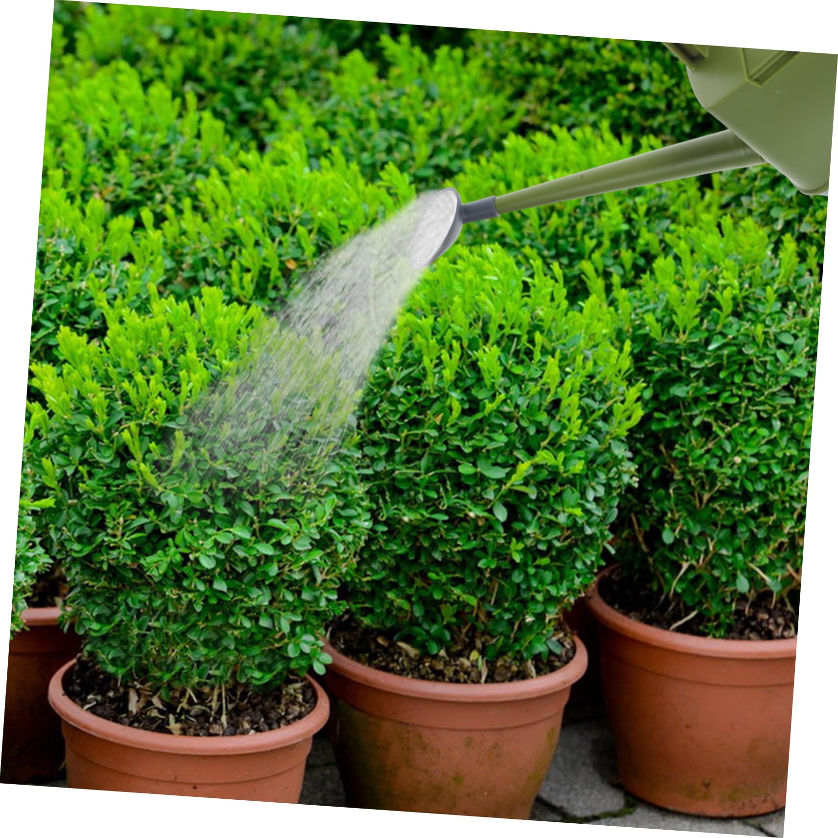 Happyyami Annaffiatoio Capacità Con Beccuccio Per Piante Da e Giardino Colore Vivace Per Uso Facile e Pratico