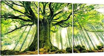 油彩画 自然の風景 赤い空と緑の木々 Amazon.co.jp: 森の大きな木 緑の絵画 アートパネル 3枚 風景画 自然
