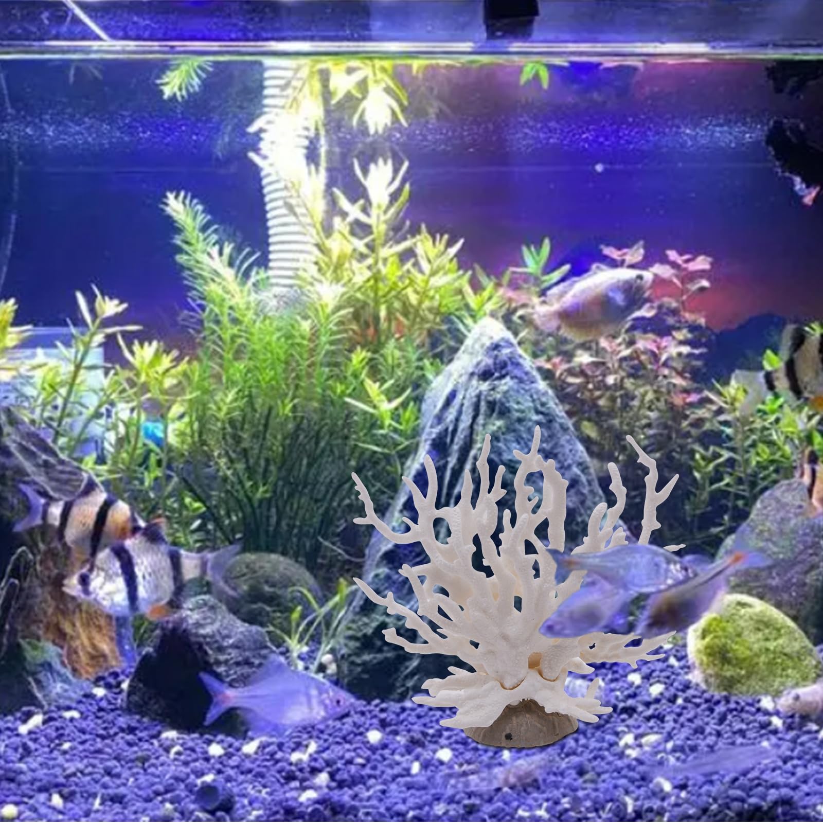 ナチュラルホワイトコーラル 水族館 造園 室内装飾品 家の装飾 石鉱物標本 Amazon.co.jp: 50 グラムナチュラルホワイトクリスタル