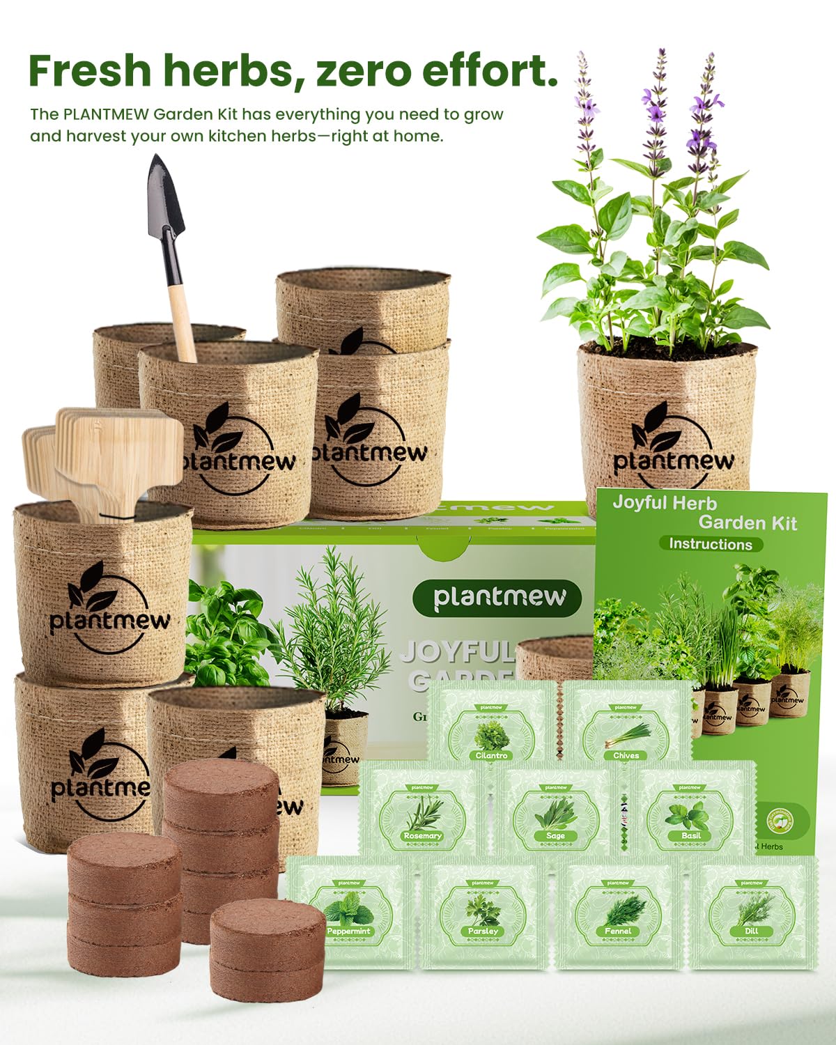 ECOST Rich Herb 4個セット×3 【公式通販】