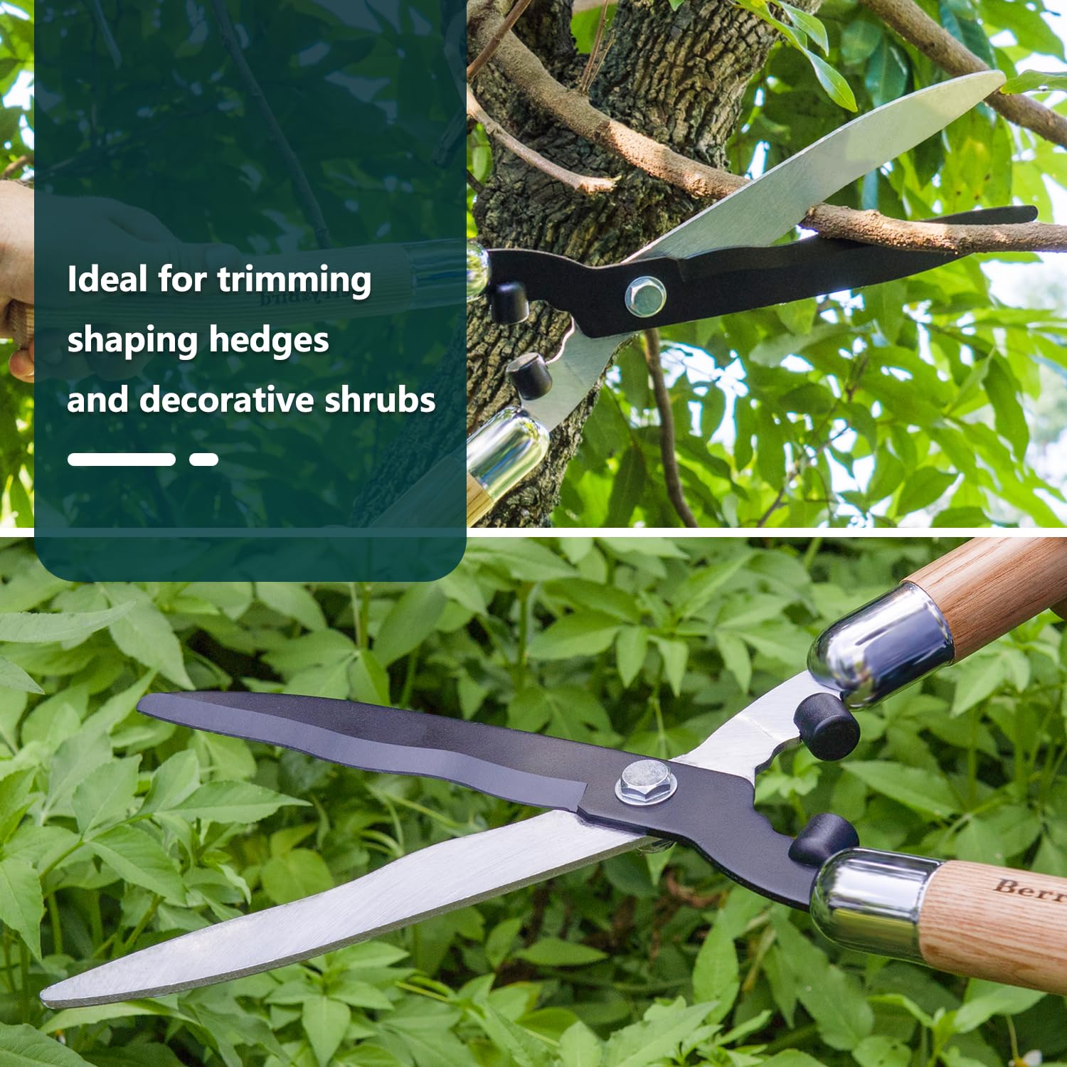 Berry&Bird Garten Heckenschere, 50.5 cm Schwere Ausführung zum Trimmen von Rändern, Buchsbaum und Büschen, Manuelle Heckenschere mit Scharfen Klingen aus Carbonstahl und Komfortgriffen