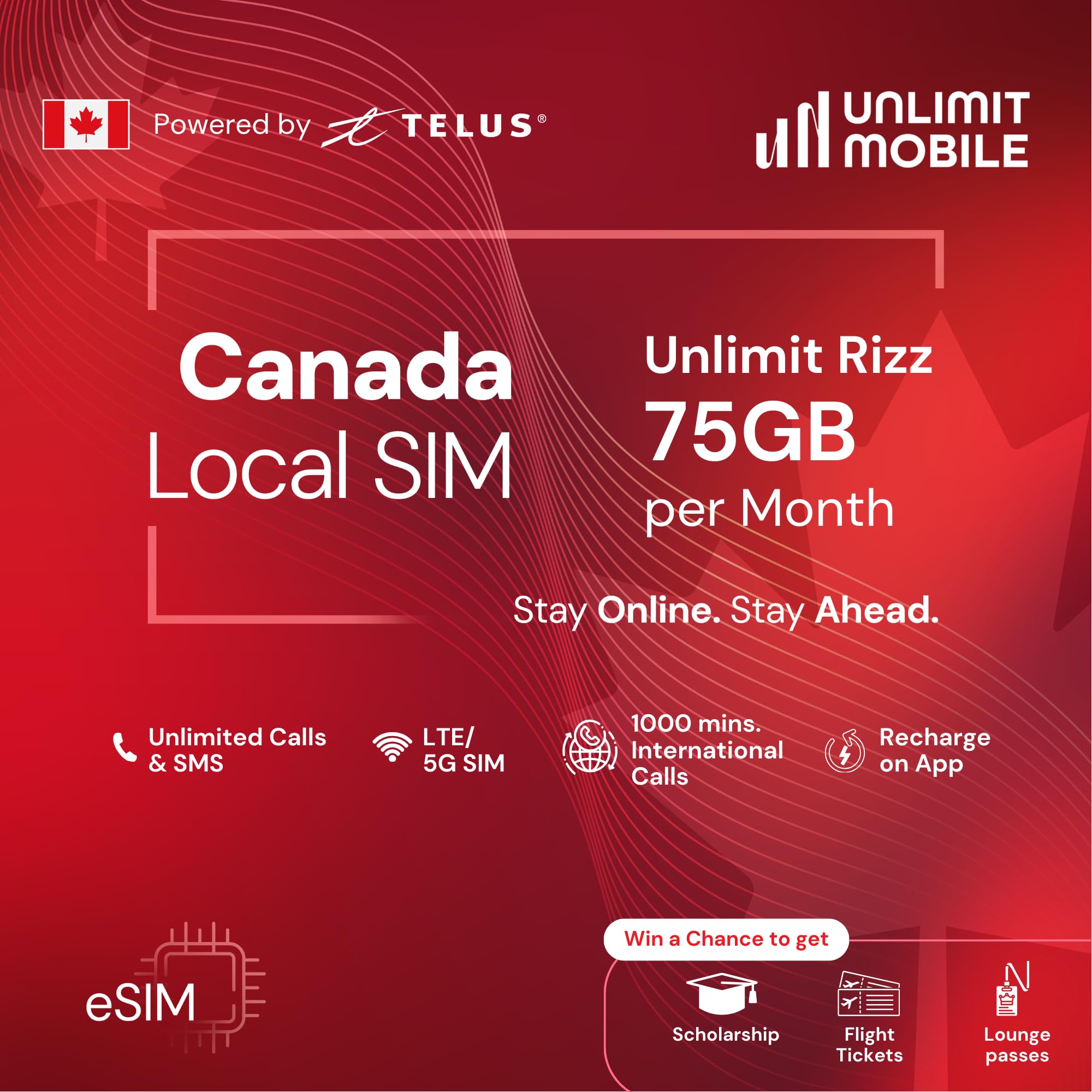 Canada ZetSIM Unlimited Rizz Plan � 75 GB/Month Data | Unlimited Voice & Text | 1000 Intl Minutes | Prepaid Travel SIM for Canada | No Roaming Charges-image-10