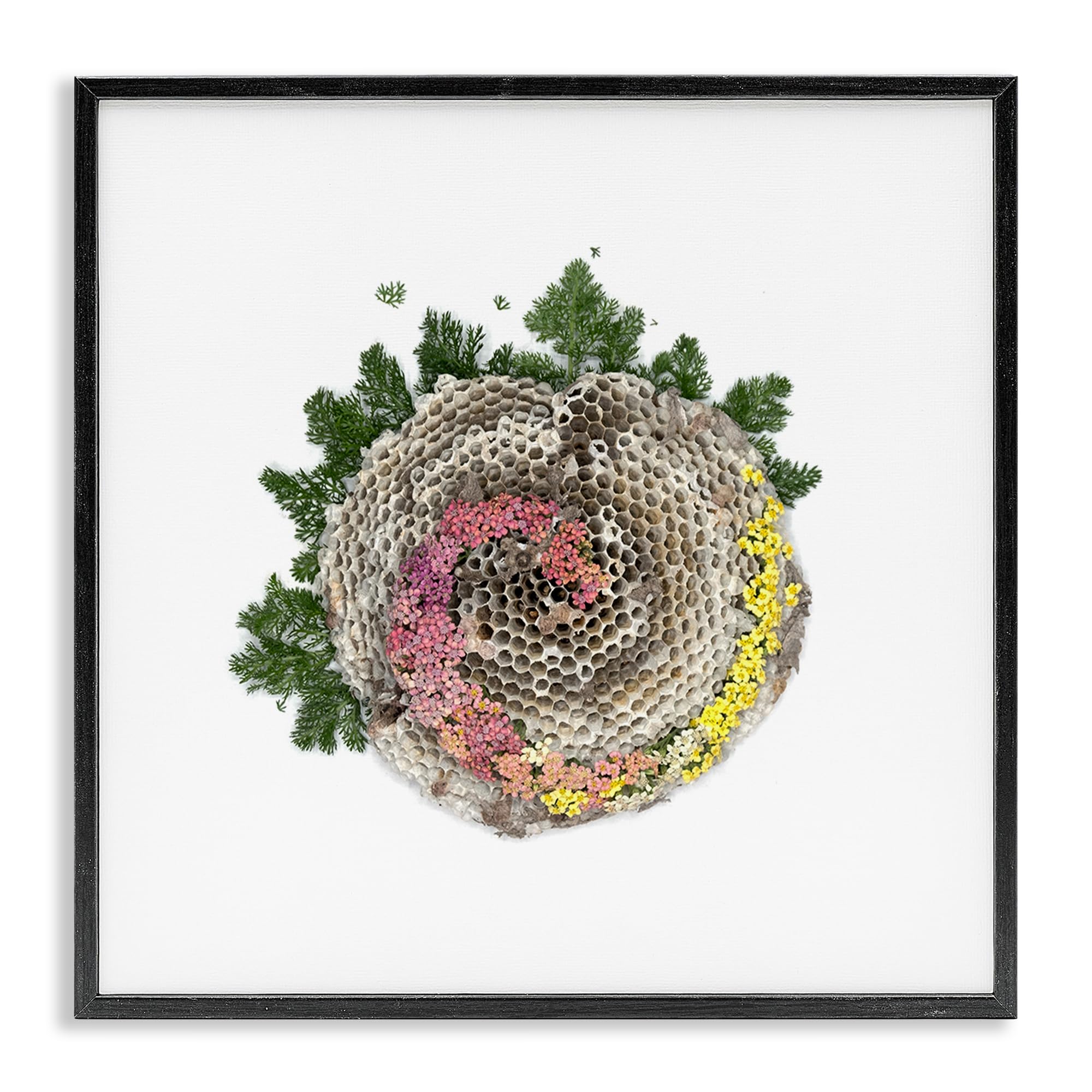 Stupell Industries Midnight Black (Textured) 'Honeycomb With Botanicals'| Framed Giclee Art