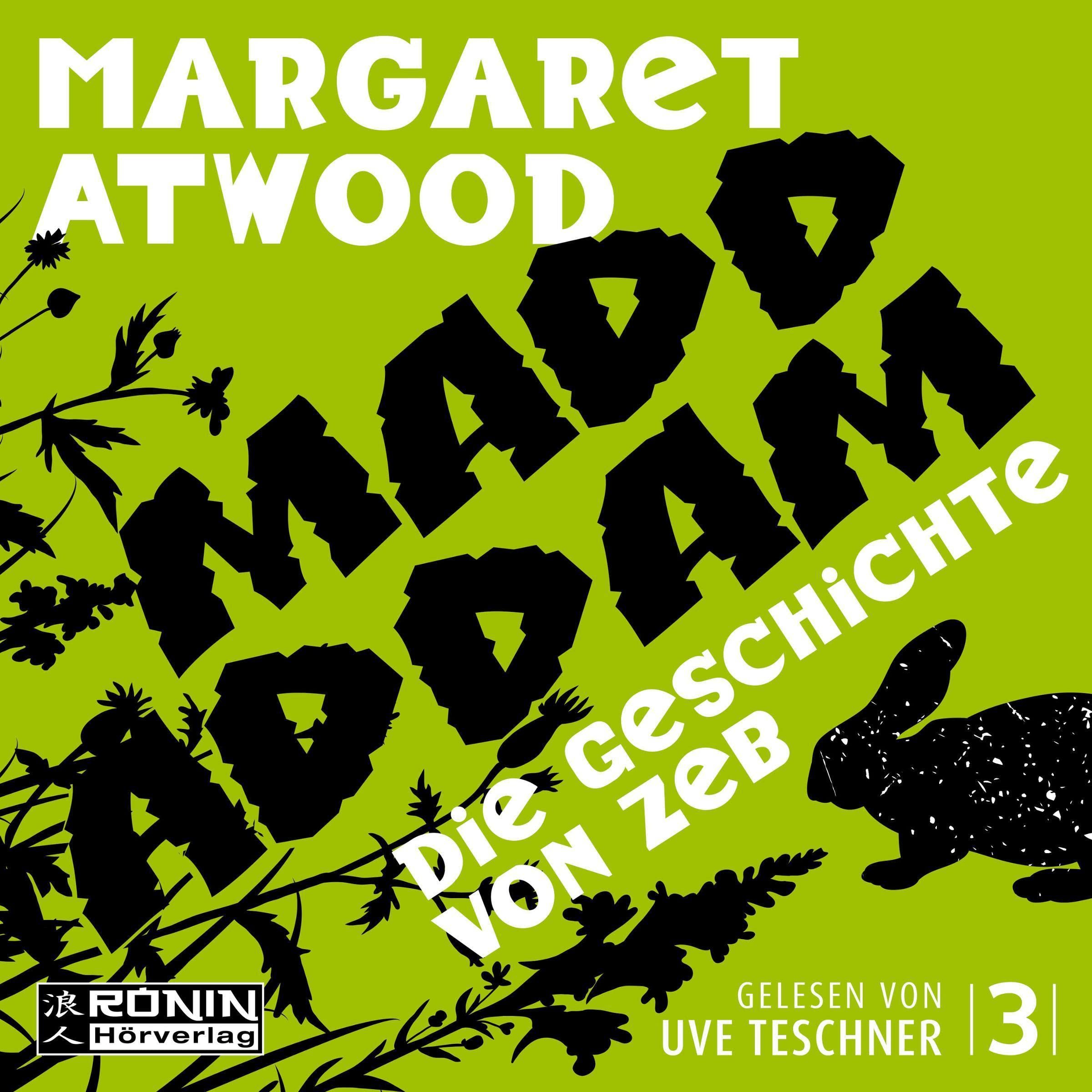 Cover art for Die Geschichte von Zeb