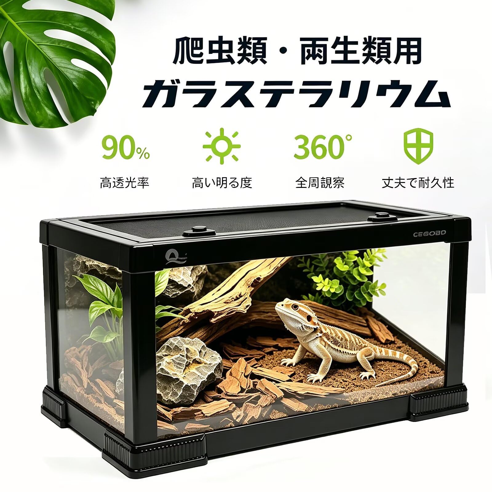 Amazon | 爬虫類 ガラステラリウム 飼育ケージ高透光ガラス 通気性