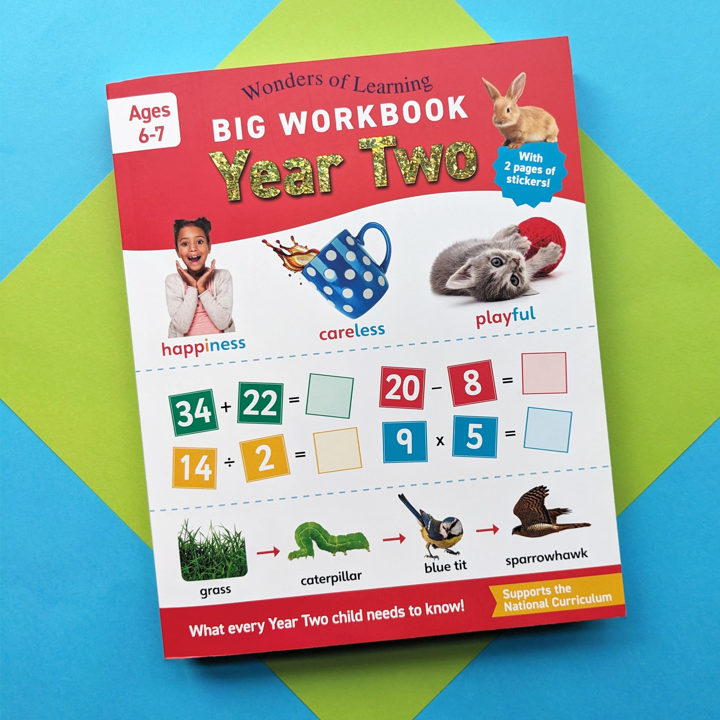 Big Workbook Year 2