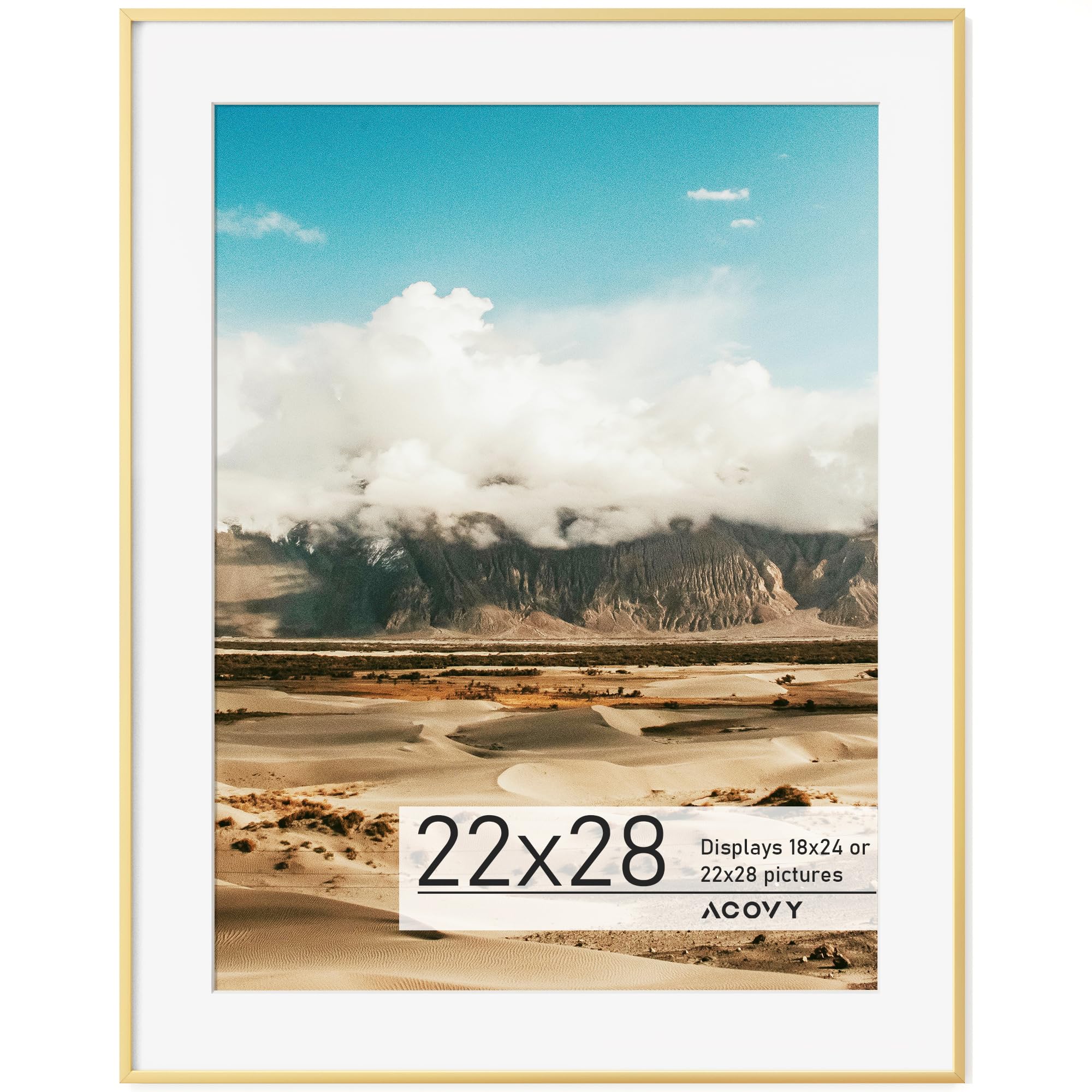 Acovy 22x28 Poster Frame Gold