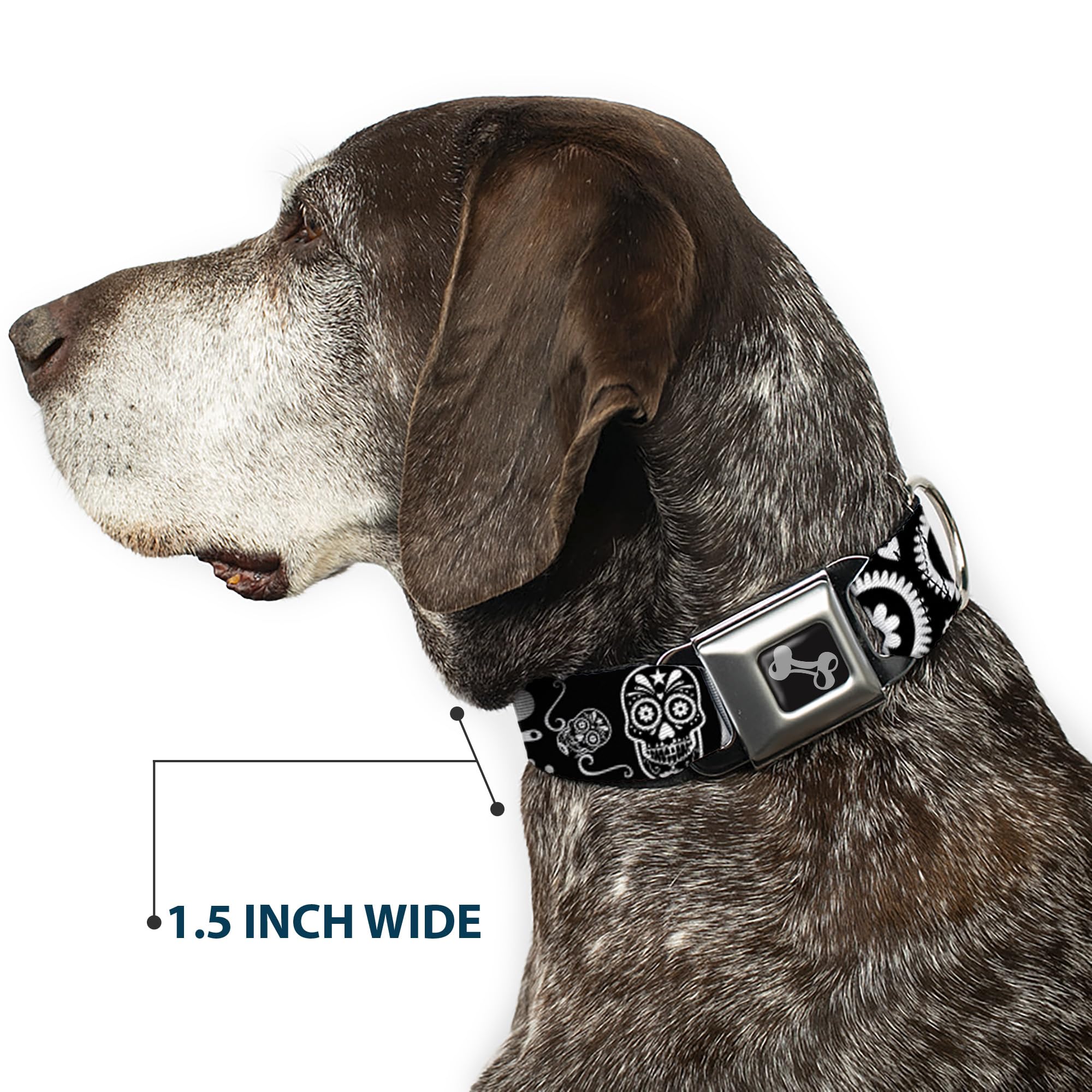 Buckle-Down Obroża dla psa z klamrą pasa bezpieczeństwa - cukrowe czaszki czarne/białe - szerokość 3,8 cm - pasuje na szyję 40-58 cm - rozmiar M