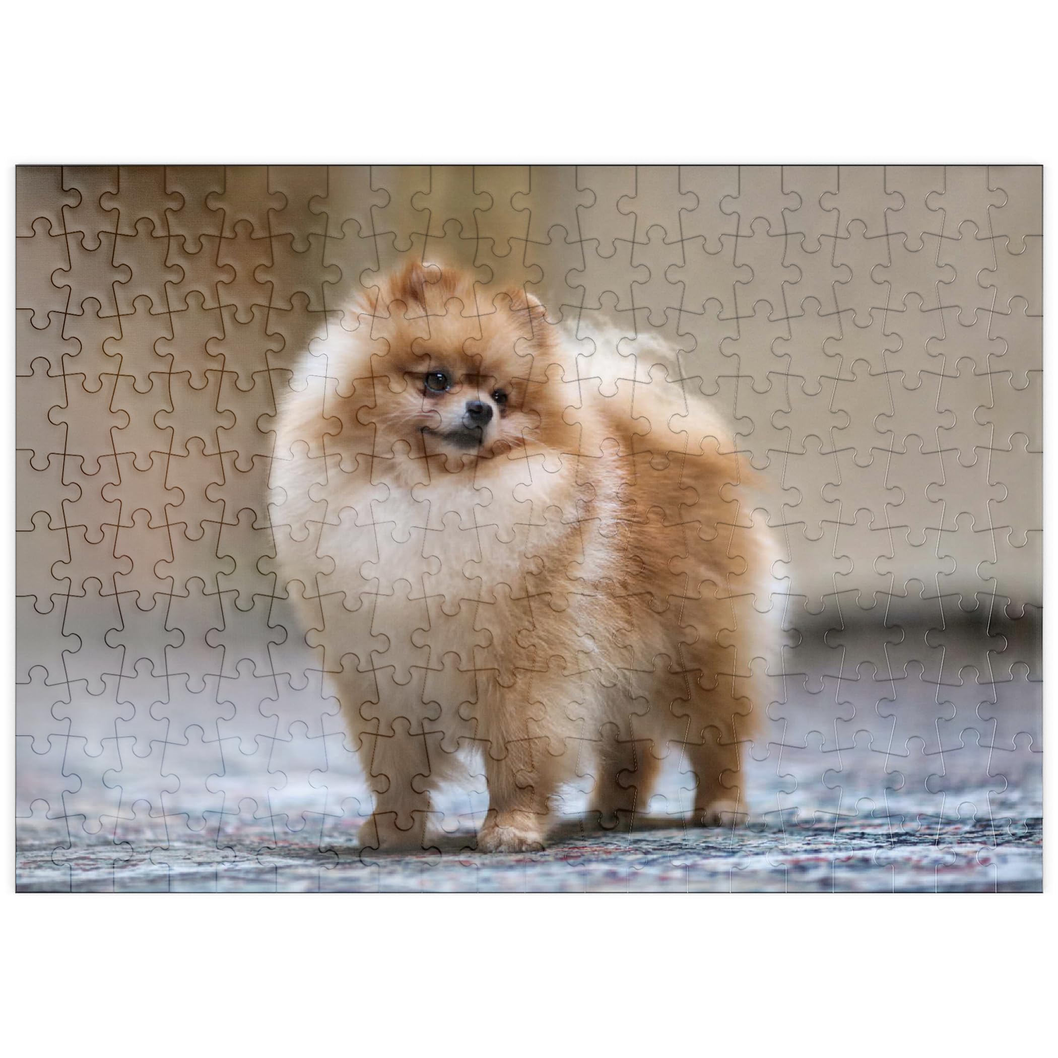 Dog Exhibition Champion - Miniature Spitz - Premium 200 Pieces Puzzle - MyPuzzle Special Collection of Galaxy Puzzle