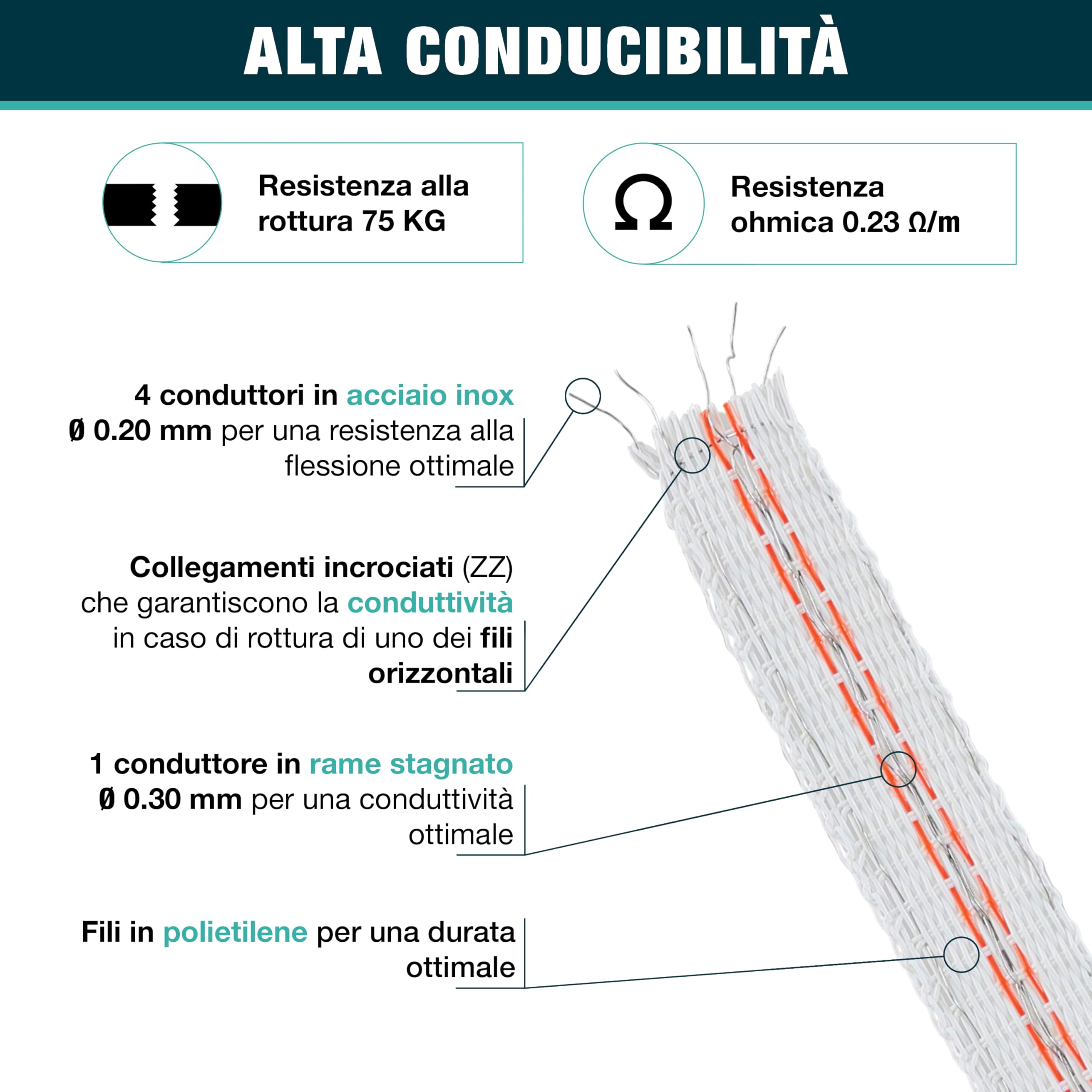 Nastro ZZ 12,5 mm - Recinzione elettrica per animali (mucca, capra, pecora, cavallo) - Bobina da 400 m - 4 fili in acciaio inox diametro 0,20 mm e 1 filo di rame diametro 0,30 mm