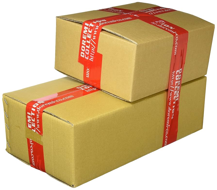 Amazon | ドレミコレクション Z2タイプ リアフェンダー ゼファー