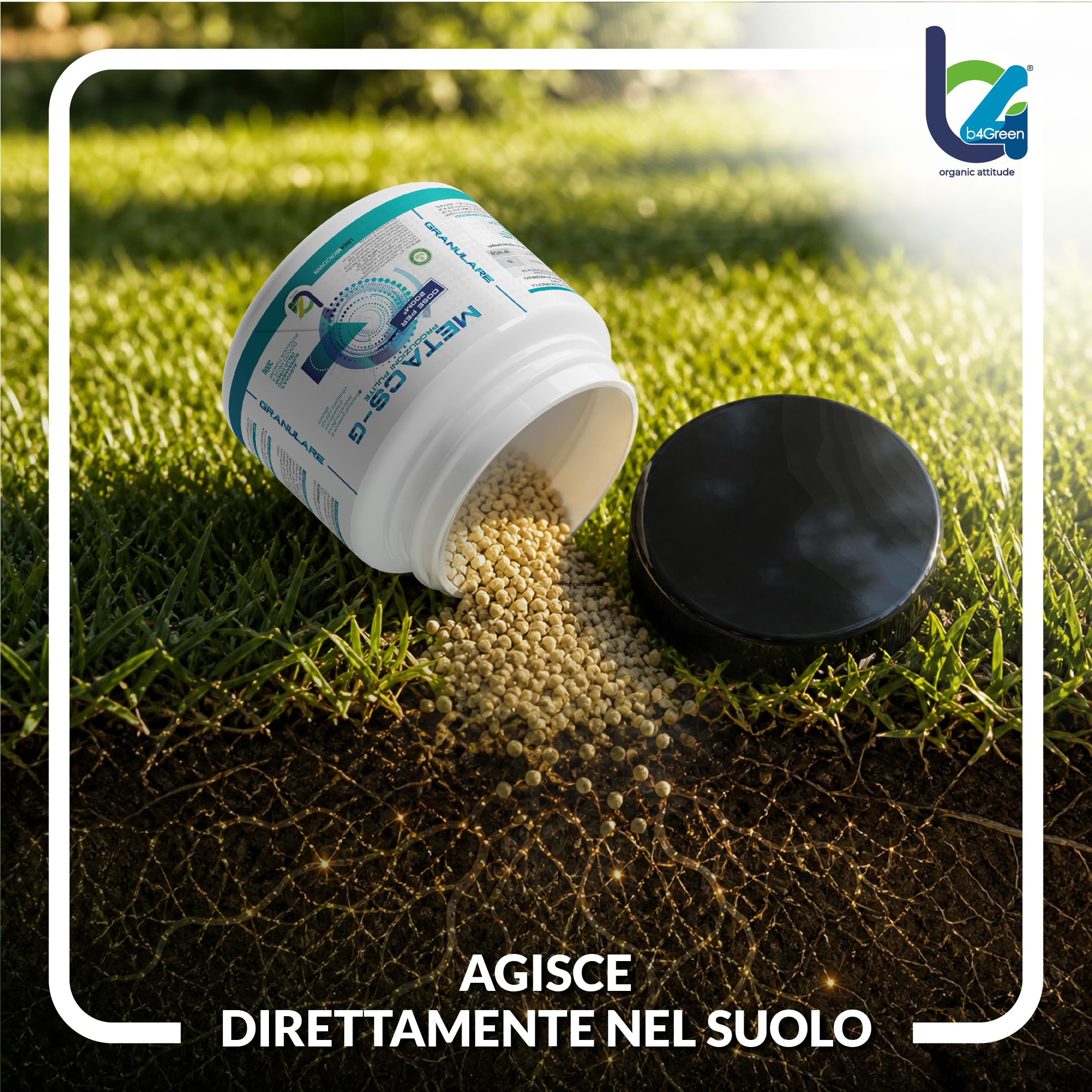 B4Green Meta CS-G Granulare 300g per 200m² – Micorrize per Piante e Micorrize in Polvere, Biostimolante Naturale del Suolo per Prato Orto e Giardino, Radici Forti e Tappeto Erboso Sano