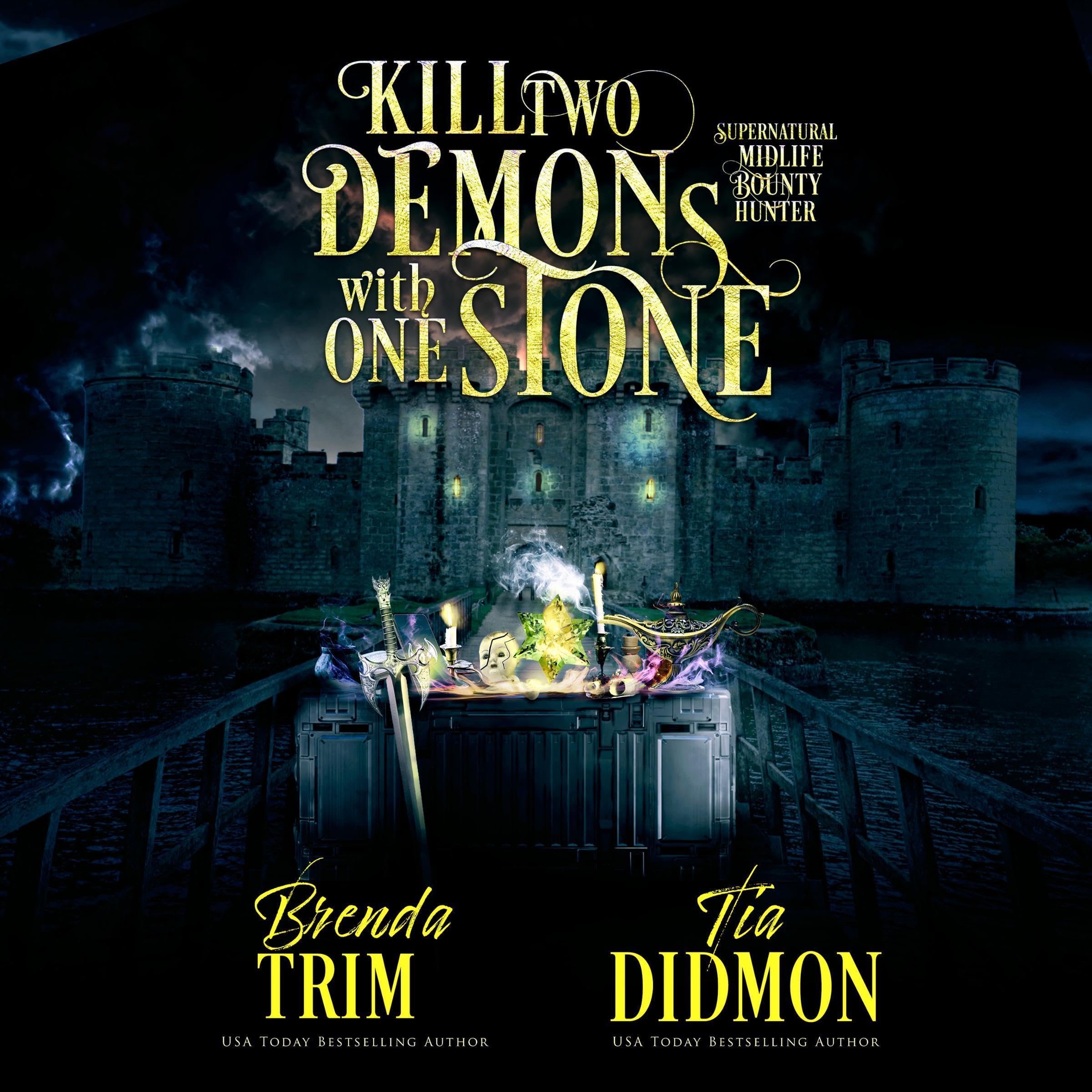 Cover art for Kill Two Demons with One Stone