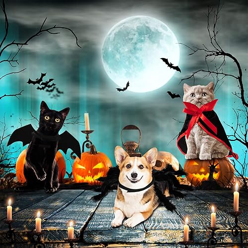 Miniatura 2 de Juego de 3 piezas de disfraz de perro y gato de Halloween, capa de vampiro de murciélago para mascotas, disfraz de araña gigante de imitación para