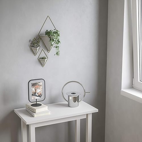 Miniatura 9 de Umbra Trigg  Maceta colgante y recipiente geométrico para decoración de pared ideal para plantas suculentas plantas de aire mini cactus plantas