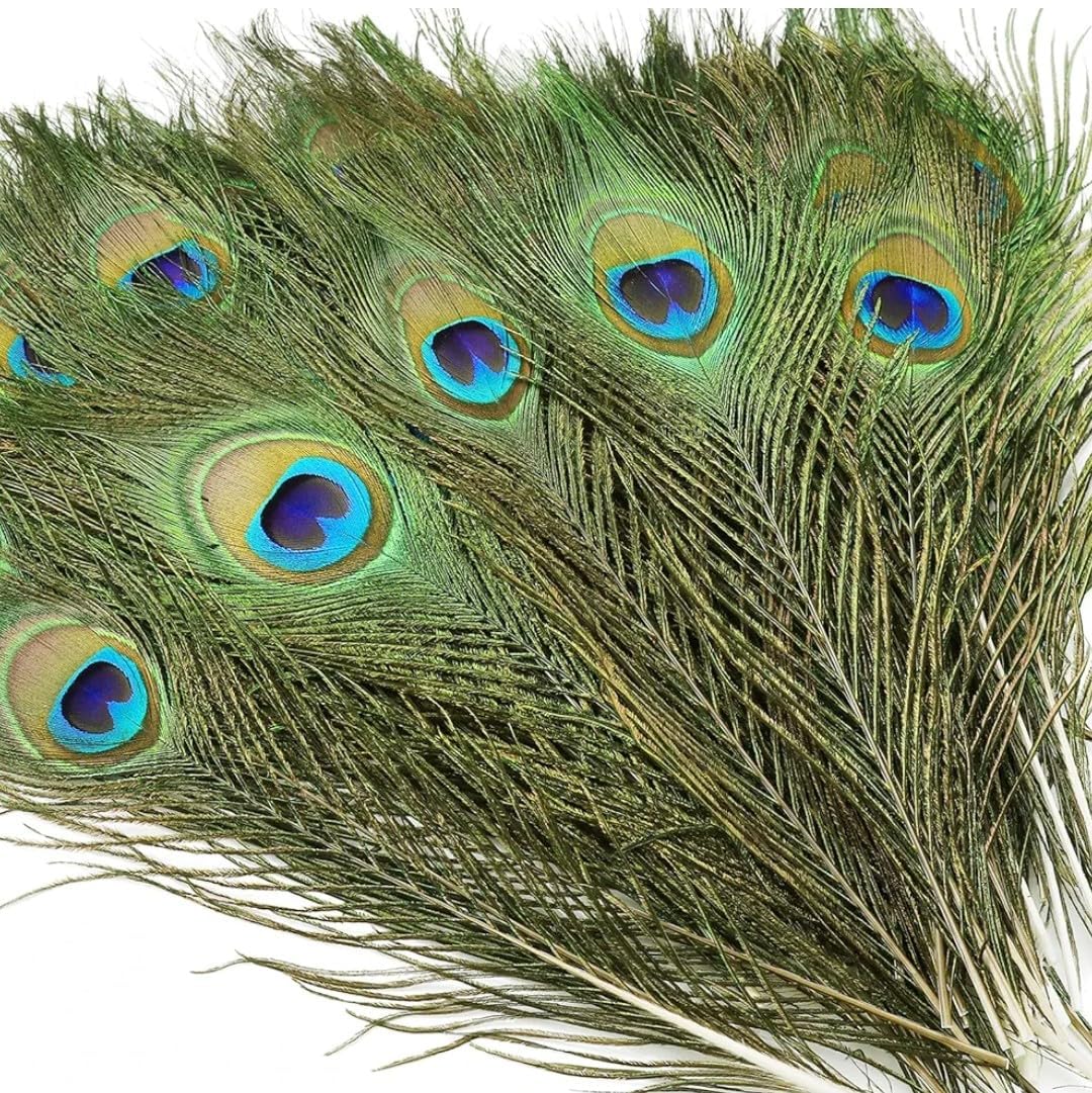 Rajmart Global Mor Pankh Real Peacock Feather Original Tails Décor Medium Size for Laddu Gopal Mandir, Home use Lizards Pujan, Multicolor, Pack of 10