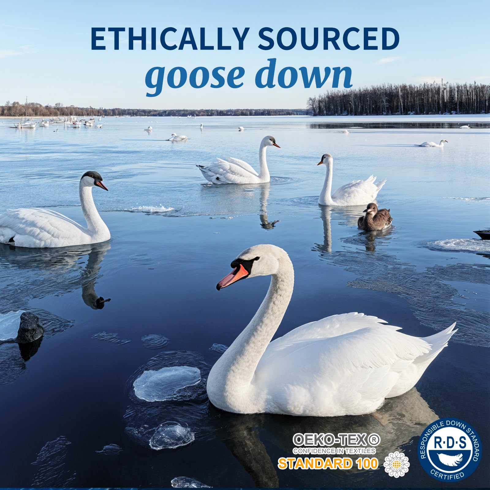 Canadian Luxury Goose Down Pillow King Size - 1050 Fill Power, 100% Cotton with Teflon Shell- Ultra Comfort Sleep Pillows - Bed Pillows for Back, Stomach, Side Sleeper(White,King(Pack of 2))