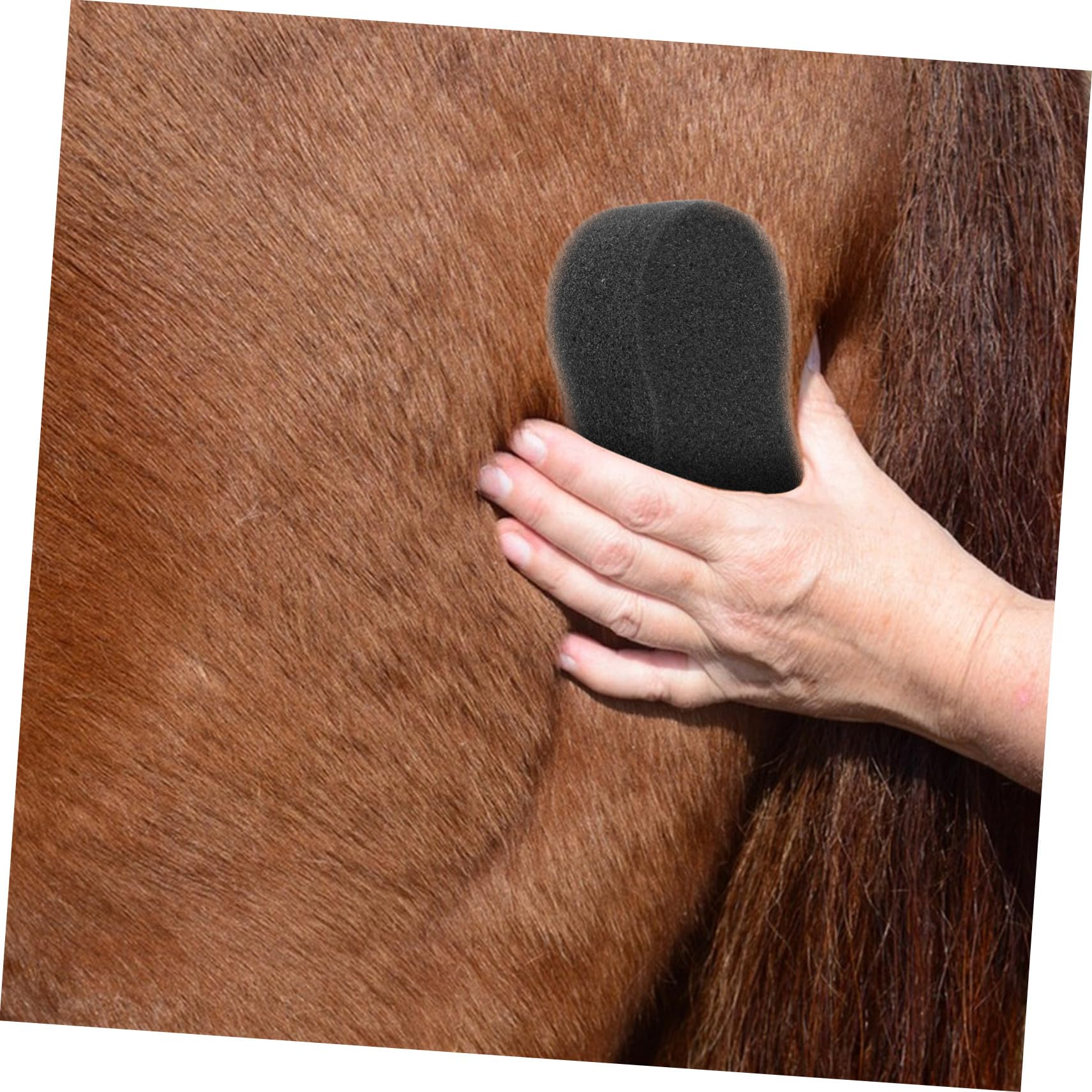 DECHOUS Esponjas Grandes para Cuidado y Limpieza de Caballos, 5 Unidades Portátiles para Uso en Establos, Ideales para Eliminar Suciedad y Sudor Después del Ejercicio, 20 X 11 CM