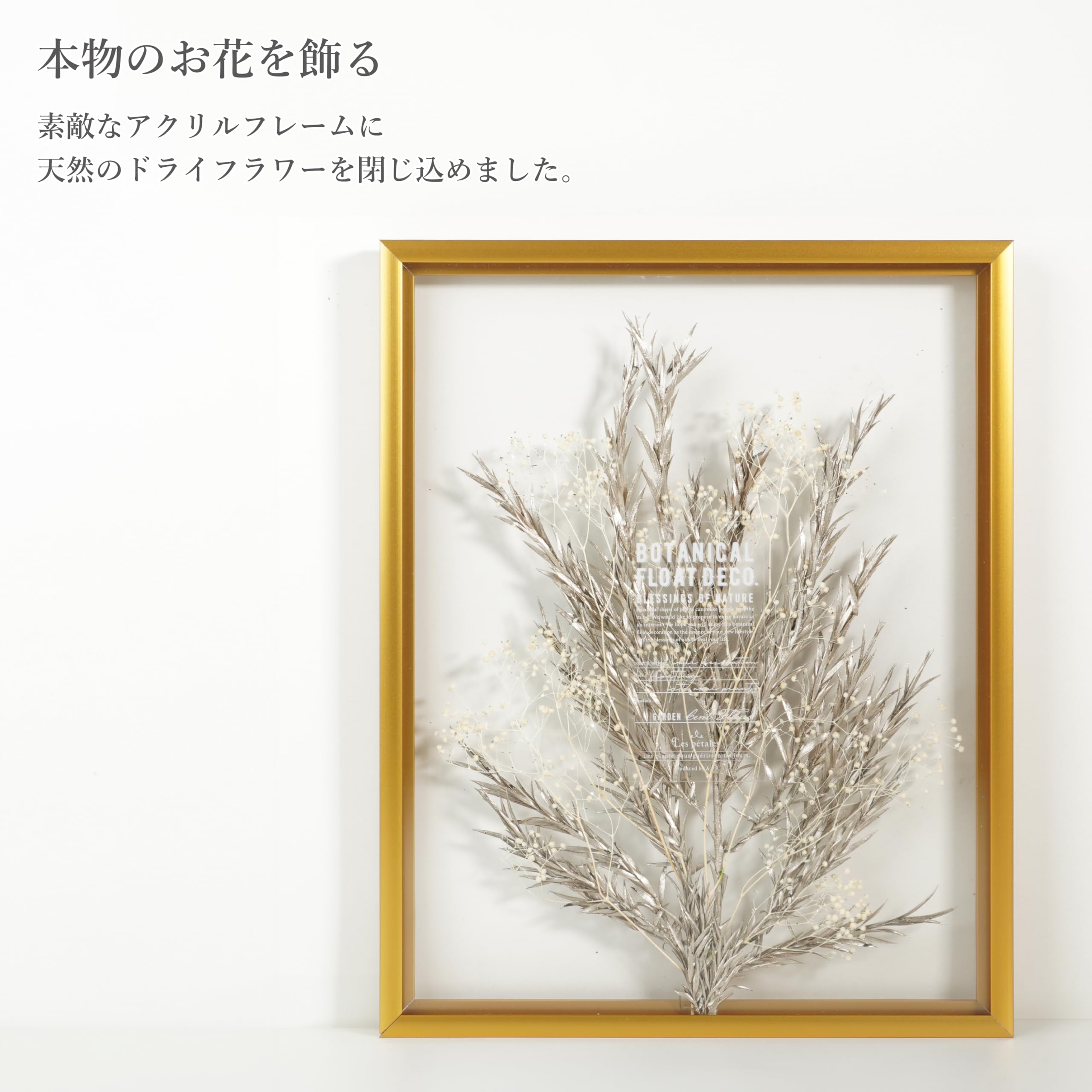 Amazon.co.jp: RingLeaf ボタニカル フロート額装 自然素材の