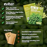 Vista 5 de KVITER 1800 semillas de albahaca genovesa para plantar (Ocimum basilicum) – Albahaca italiana dulce salada clásica – Semillas sin OMG y reliquia