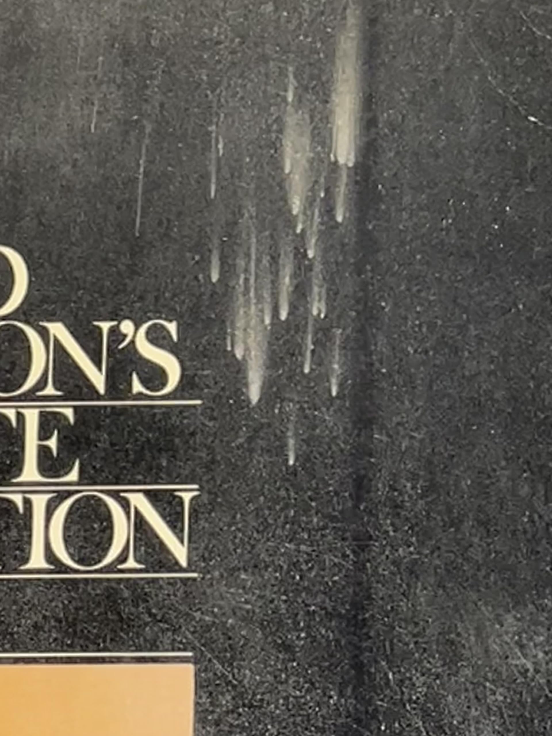 David DAVID HAMILTON Editions de La Martiniere Hamilton Books