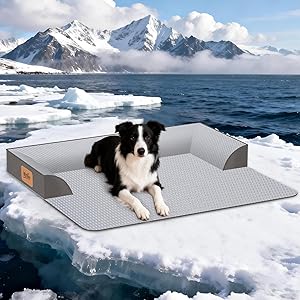 Cooling Orthopedic Dog Bed
