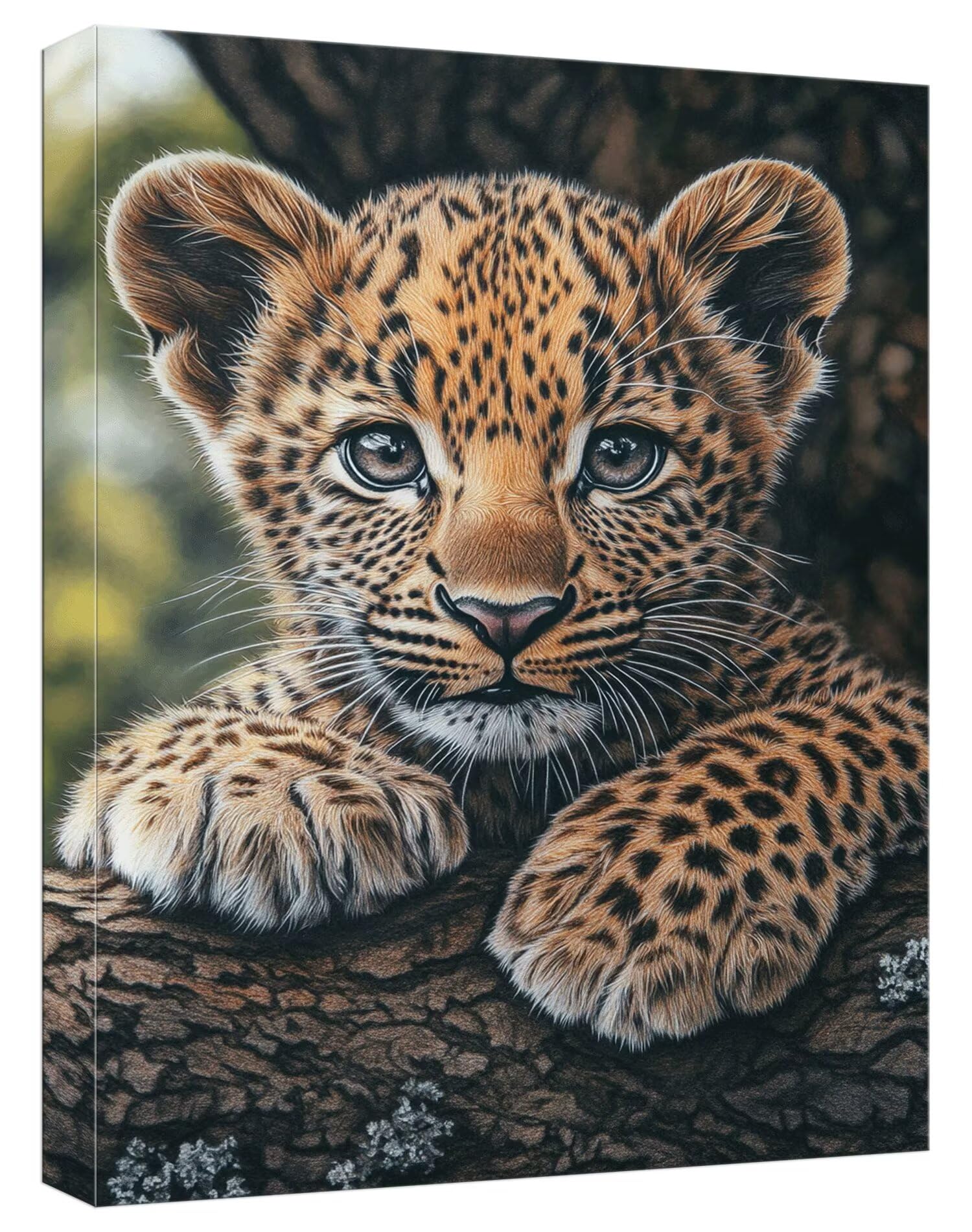 Malarstwo Numery Dorosły Leopard Malarstwo Numery Dziecko Zwierzę DIY Figurka Artystyczna Numer Sztuki Zestaw Kreatywny Dorosły z 3 Pędzelkami Farby Akrylowe, Dekoracja Sypialni, Prezent Kobieta